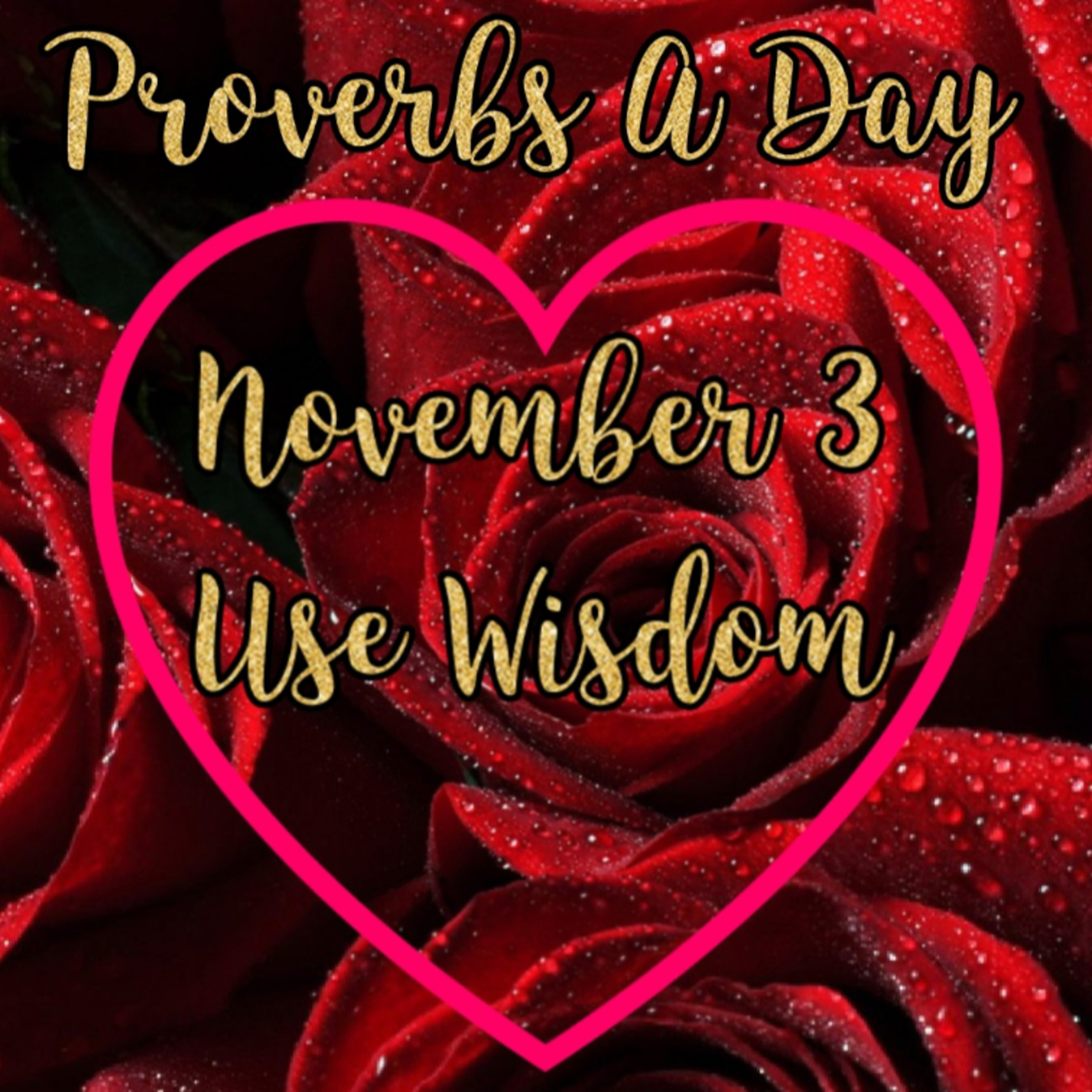 Proverbs A Day - Proverbs 3: Use Wisdom 🌹 episode artwork