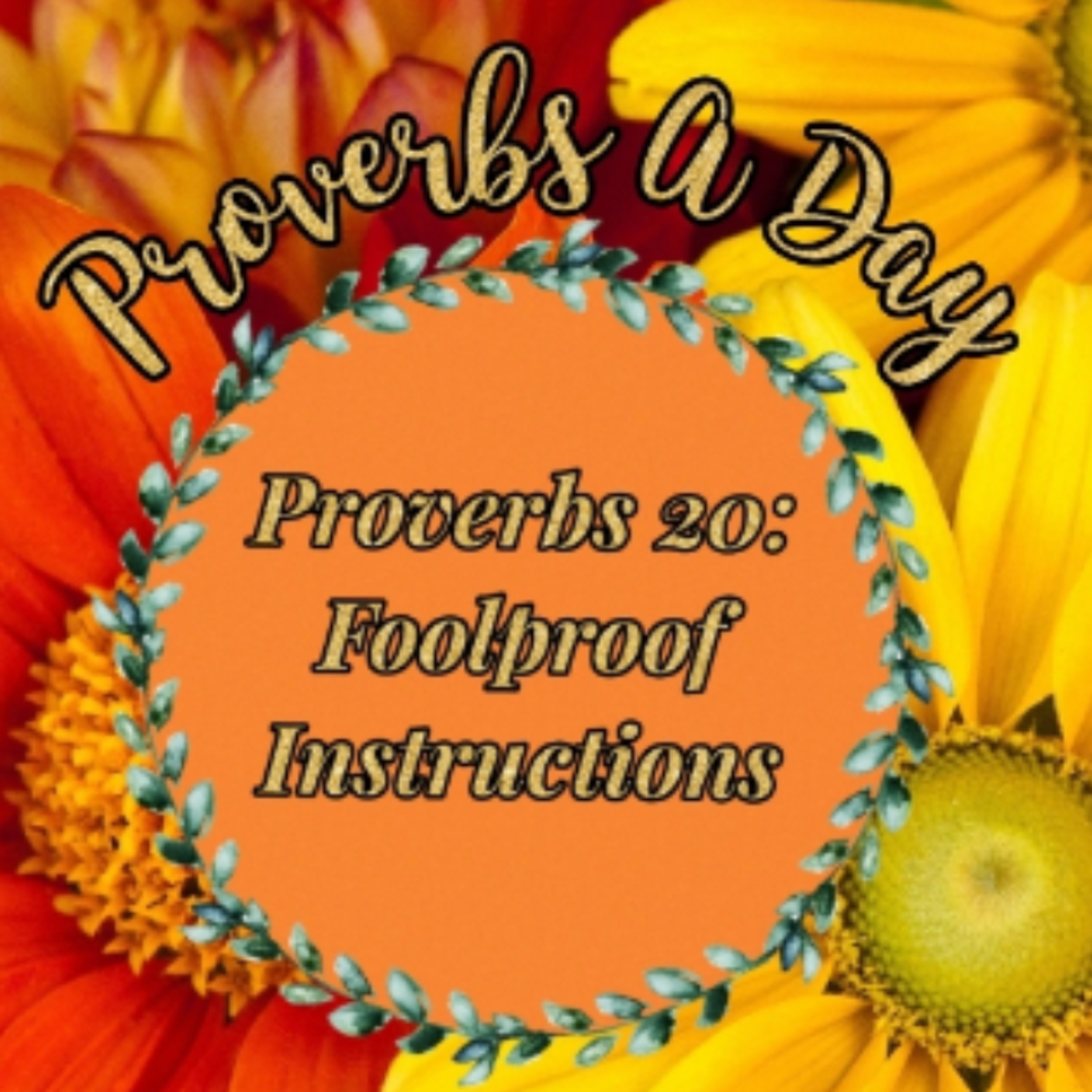 Proverbs A Day - Proverbs 20: Foolproof Instructions 🧡 episode artwork
