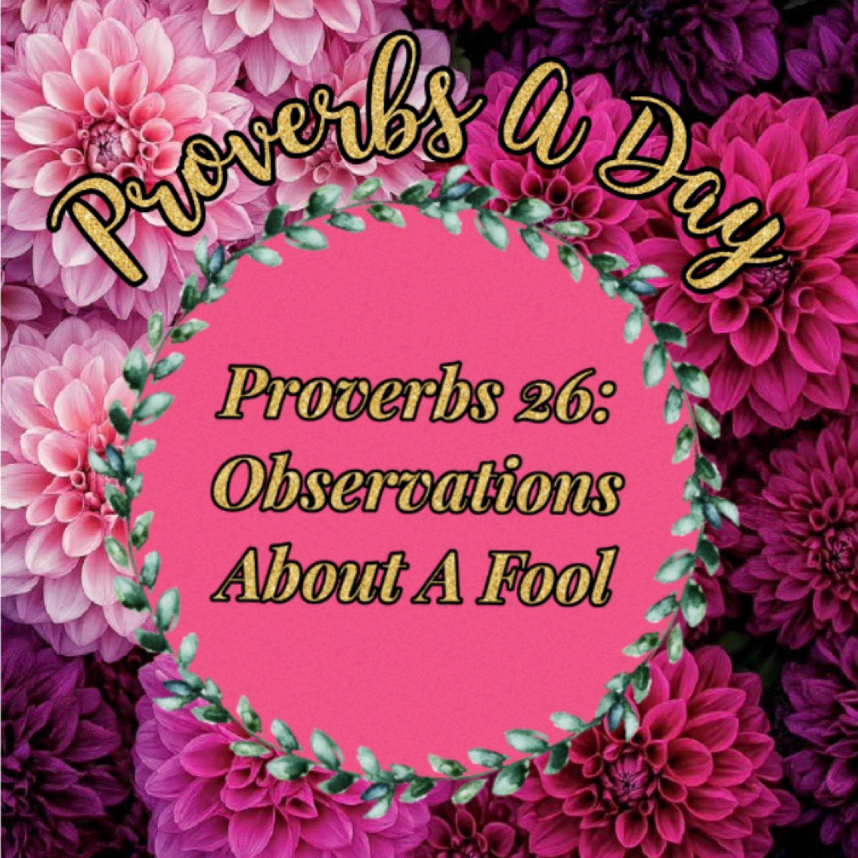 Proverbs A Day - Proverbs 26: Observations About A Fool 👀 episode artwork