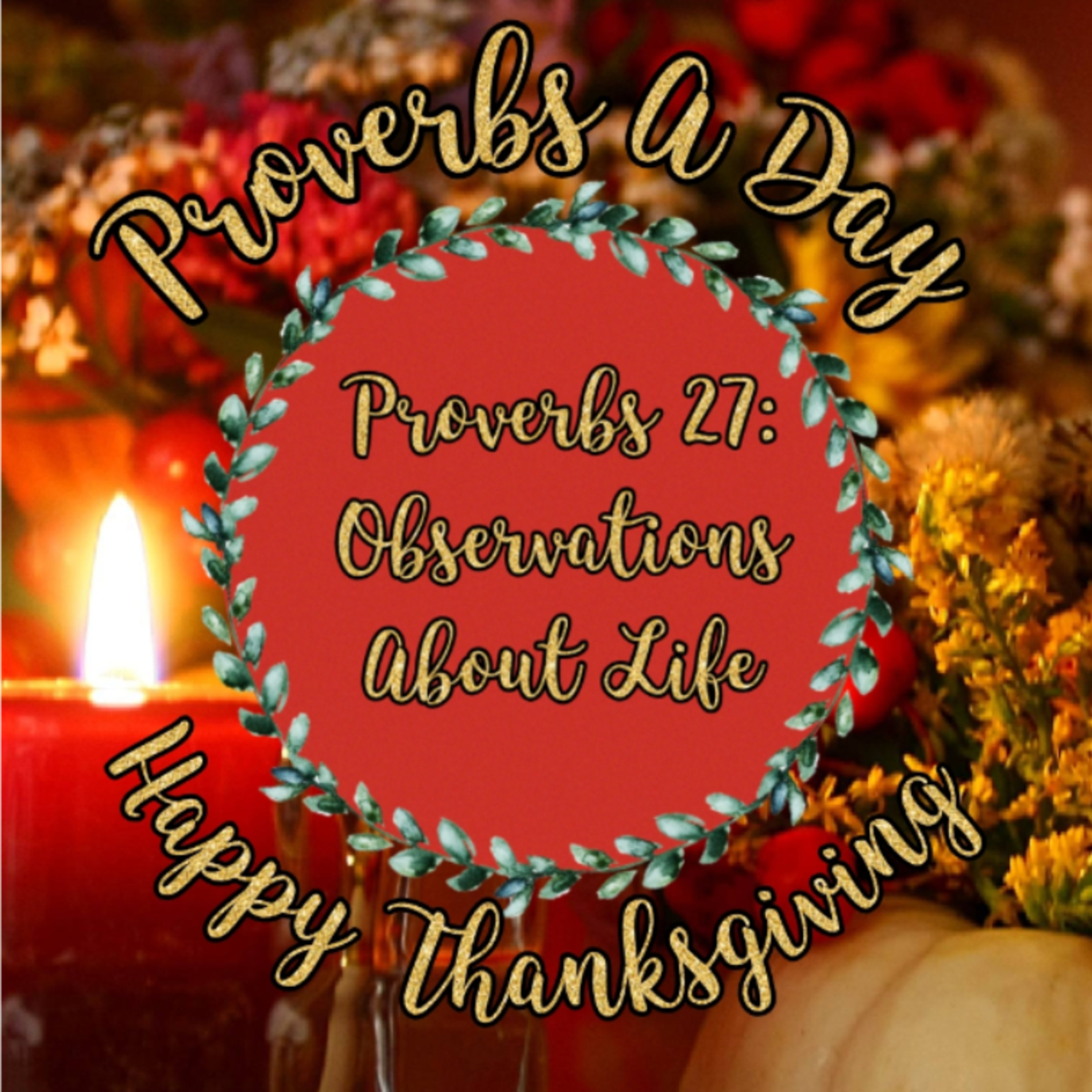 Proverbs A Day - Proverbs 27: Observations About Life 😌 episode artwork