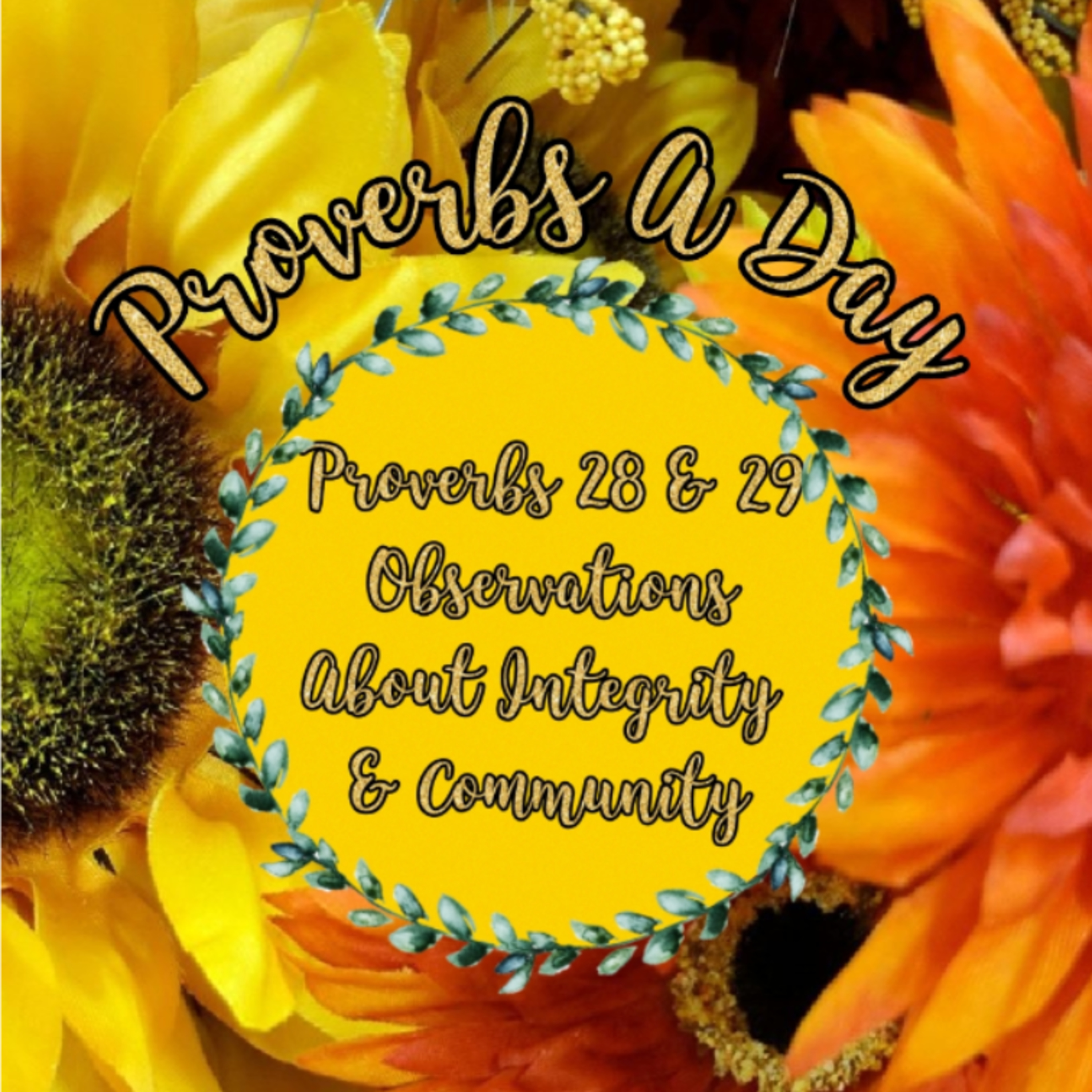Proverbs A Day - Proverbs 28 & 29 🌼 episode artwork
