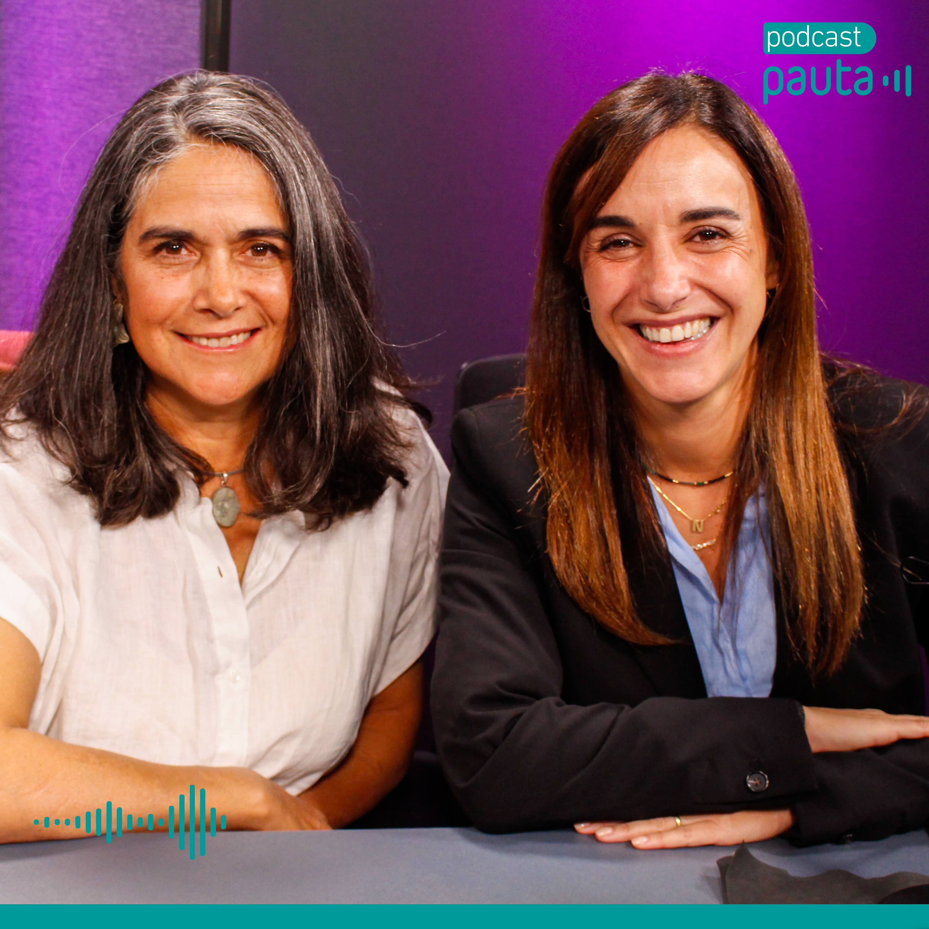 Portada de Panelistas de Mercado Central