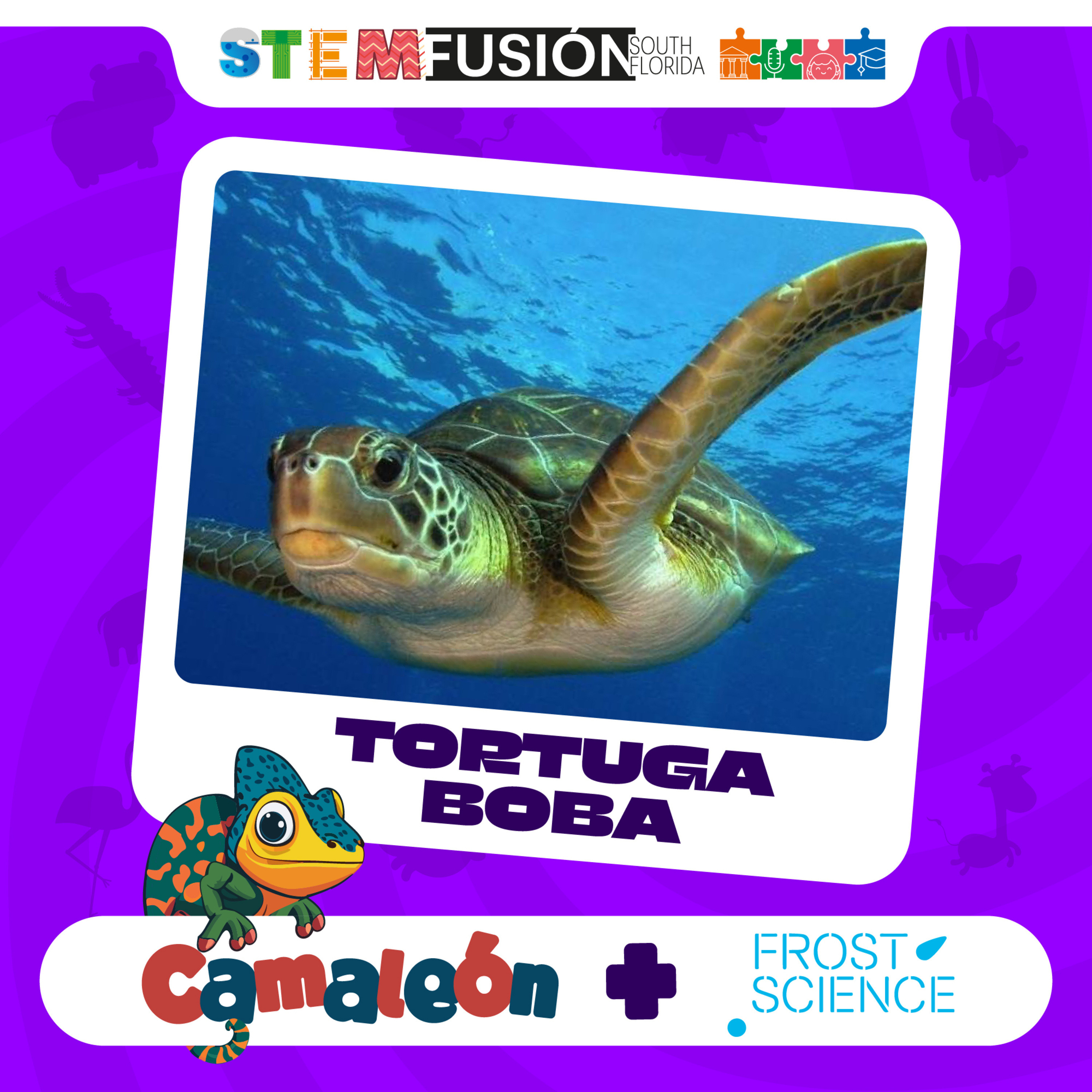 Camaleón: Ciencia de animales para niños