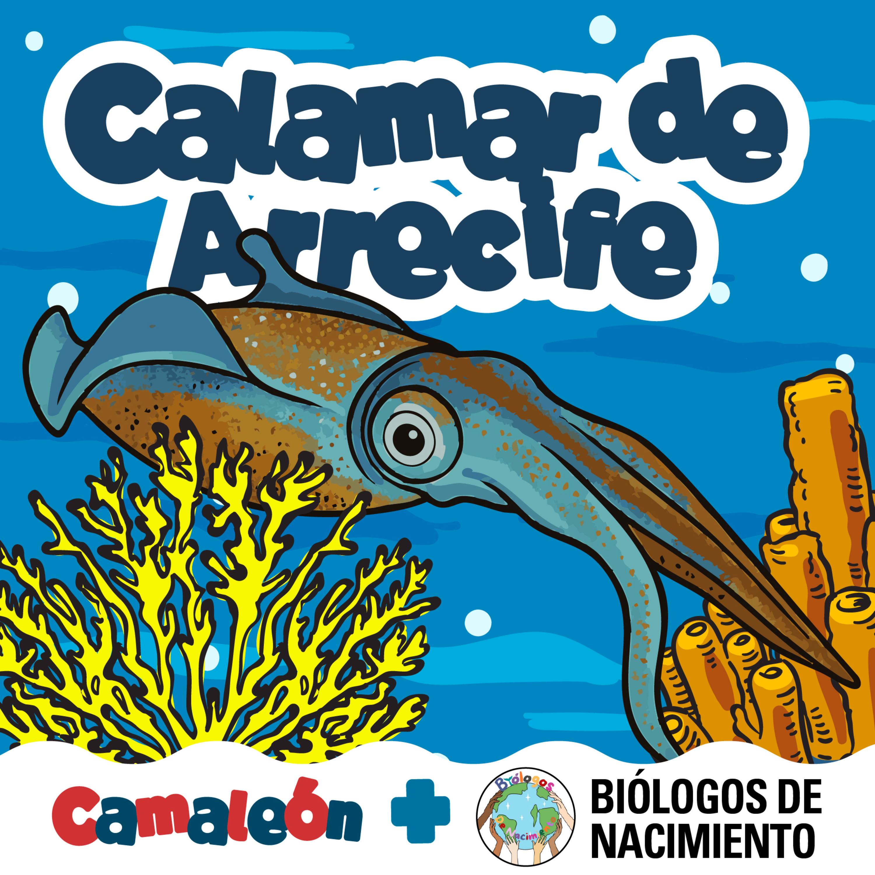 Camaleón: Ciencia de animales para niños