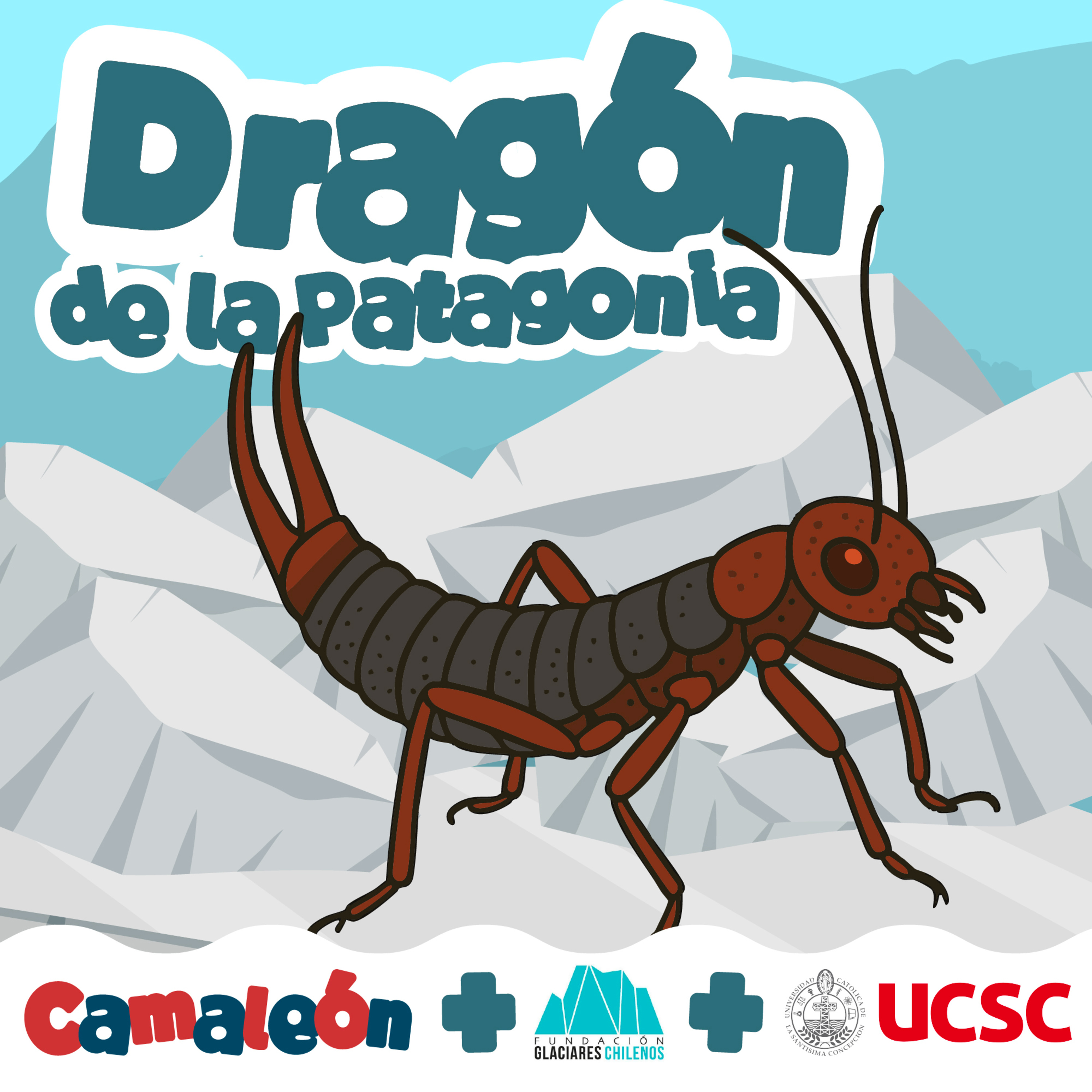 El dragón de la Patagonia: El insecto que no se congela
