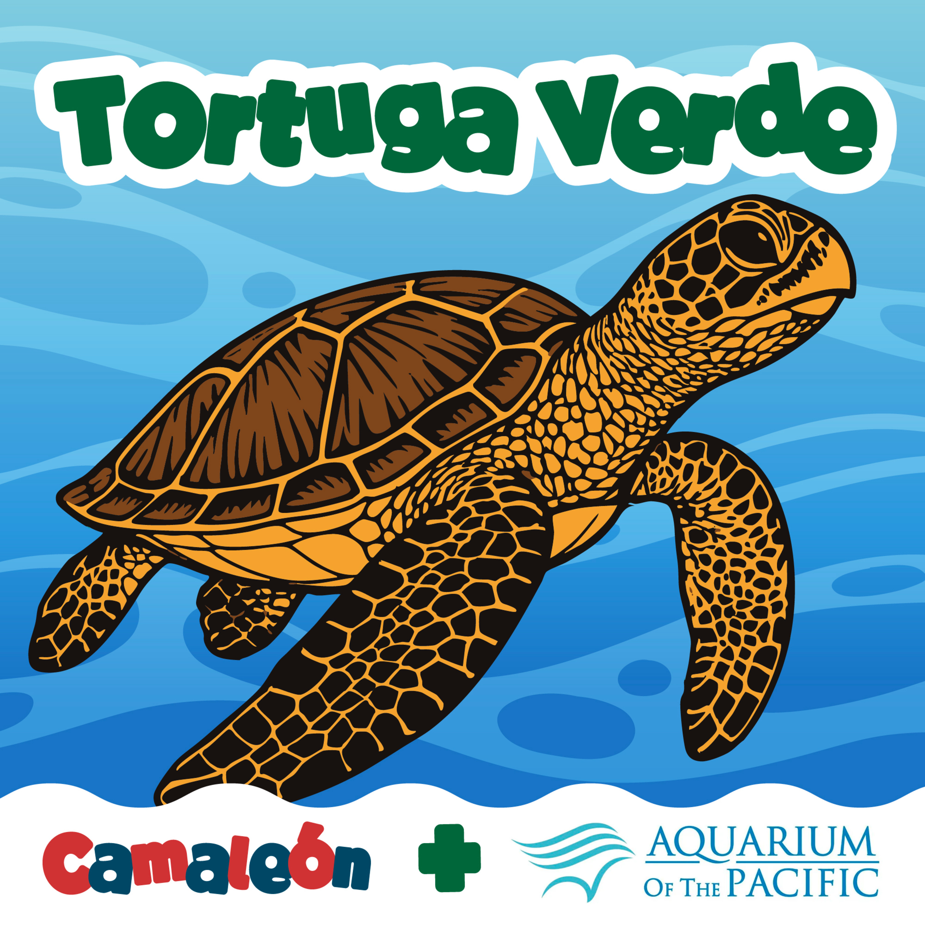 Tortuga verde: el secreto del color por dentro