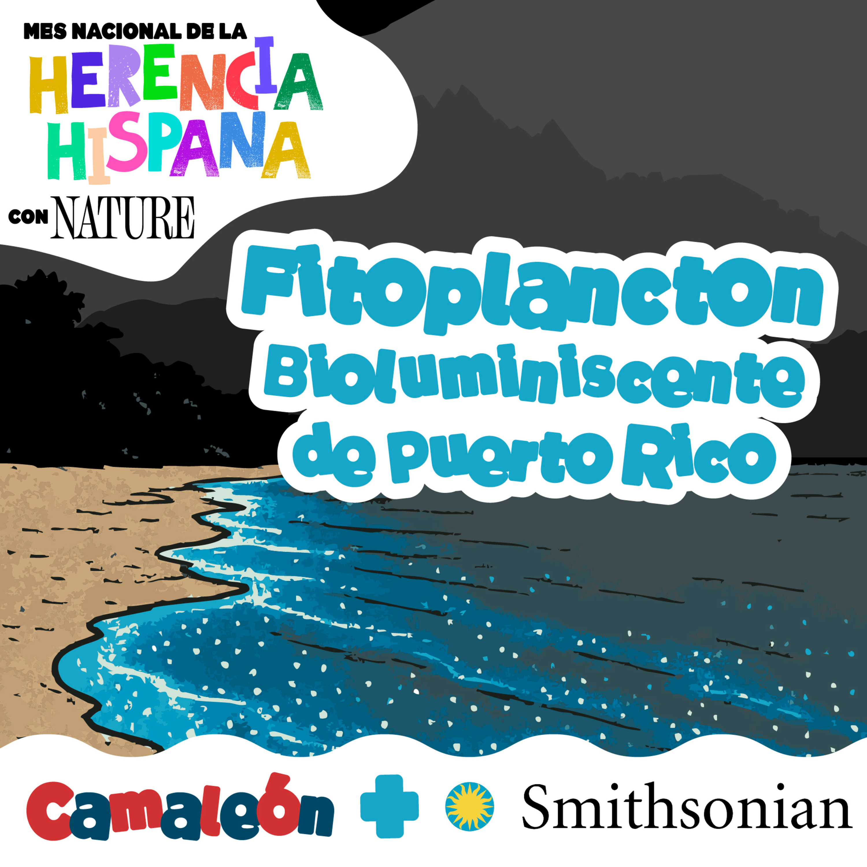 Fitoplancton: el mar que brilla en Puerto Rico 💡🌌