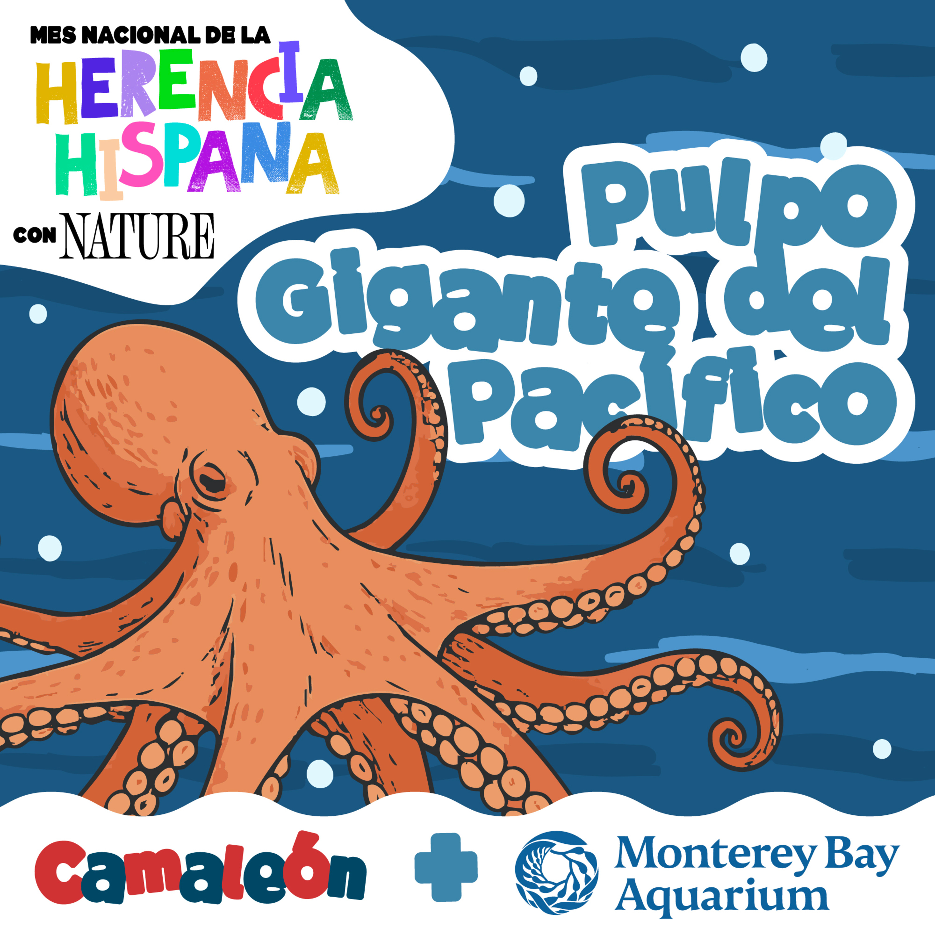 Pulpo gigante del Pacífico: 9 cerebros y 3 corazones ❤️🧠