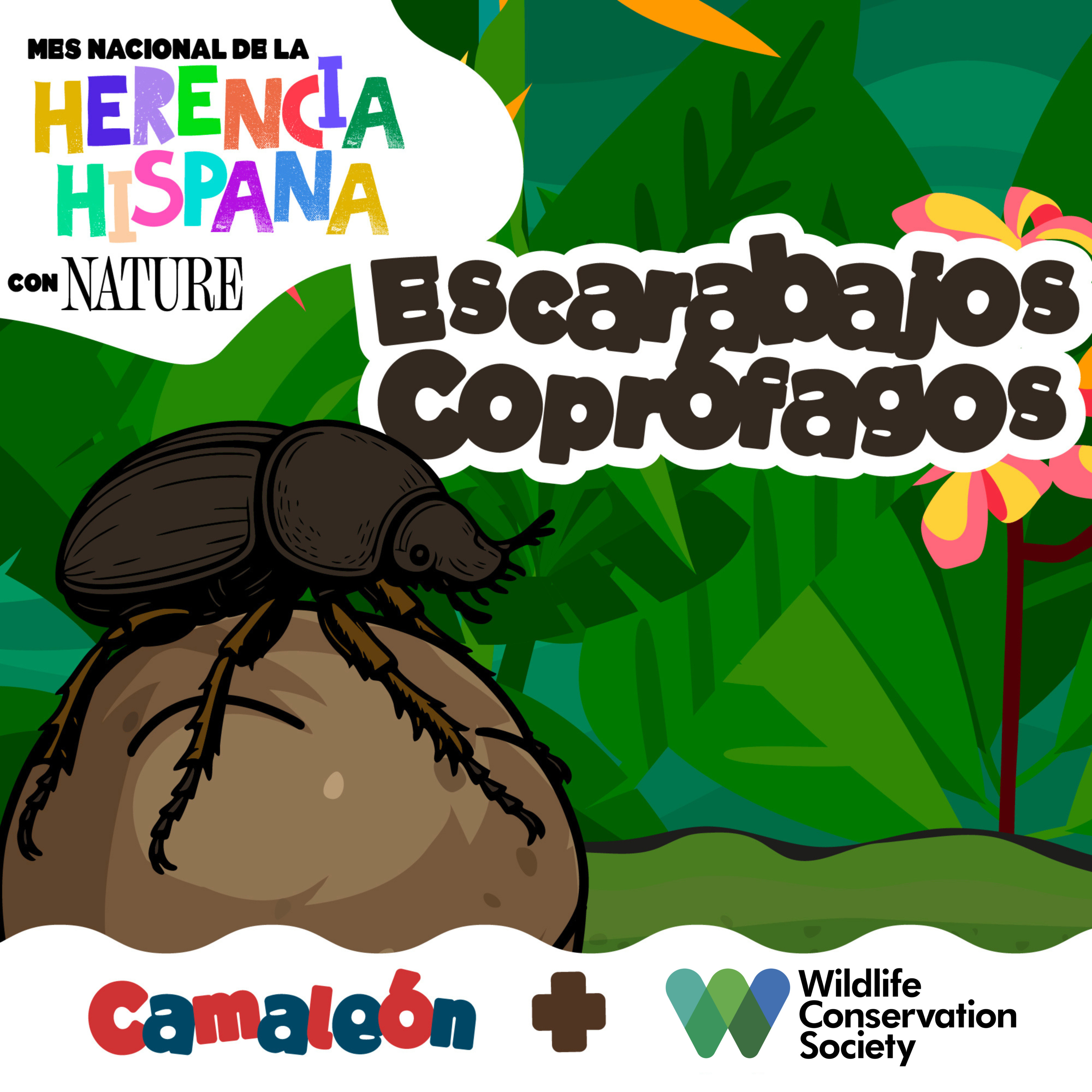 Escarabajo Coprófago: el reciclador del popó