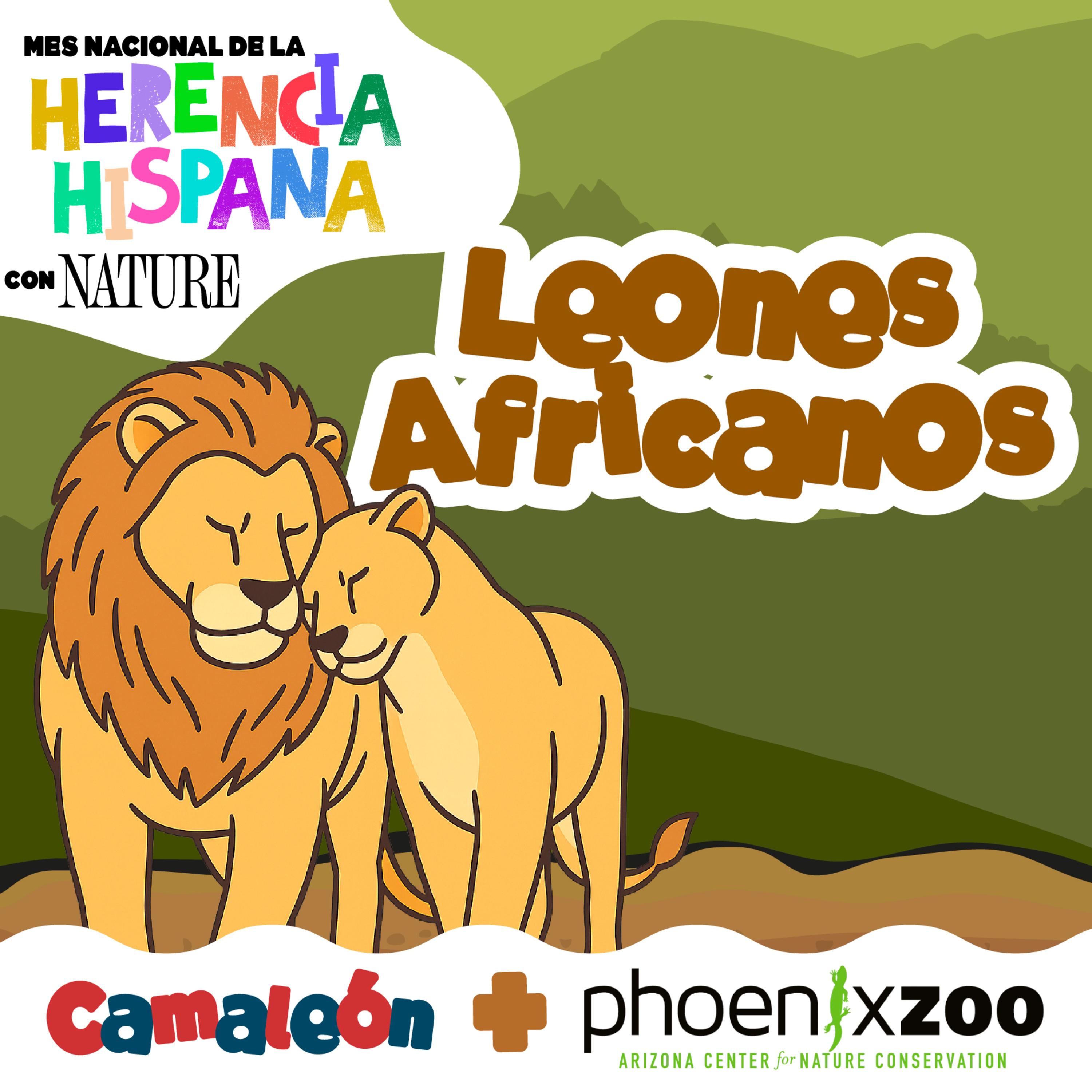 Leones africanos: poder, manada y cooperación 🦁🤝