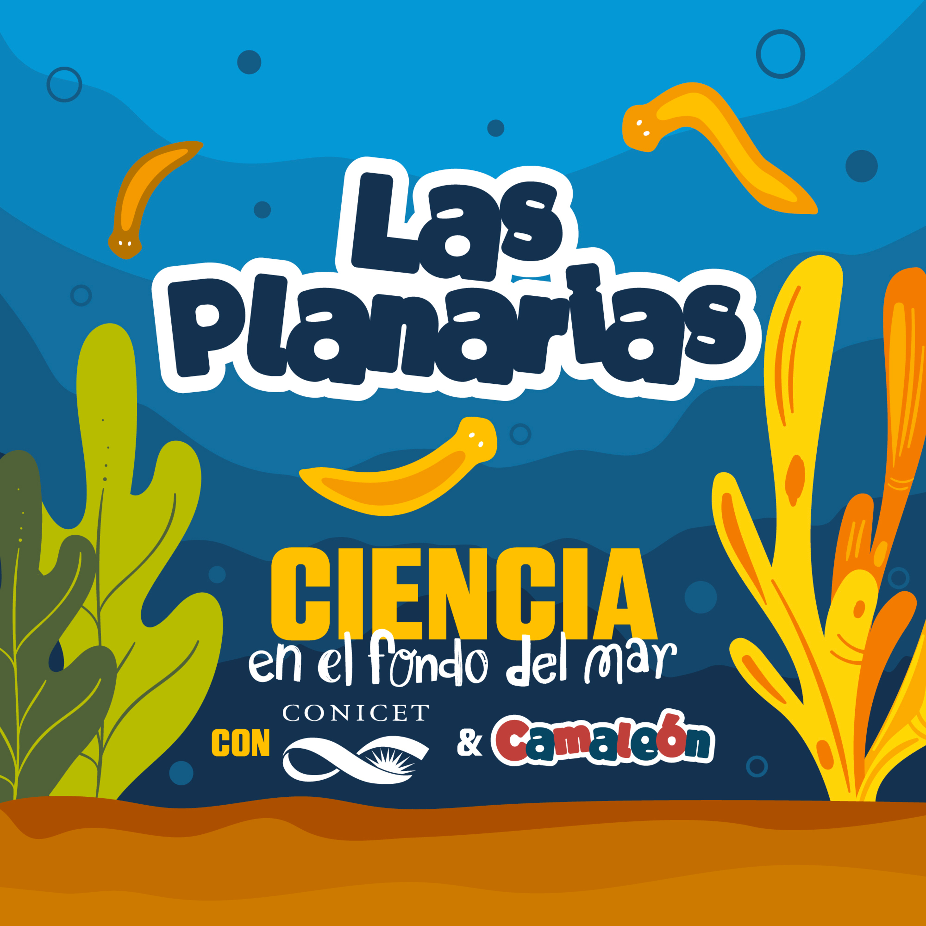 Planarias: El animal que puede reconstruir su cerebro