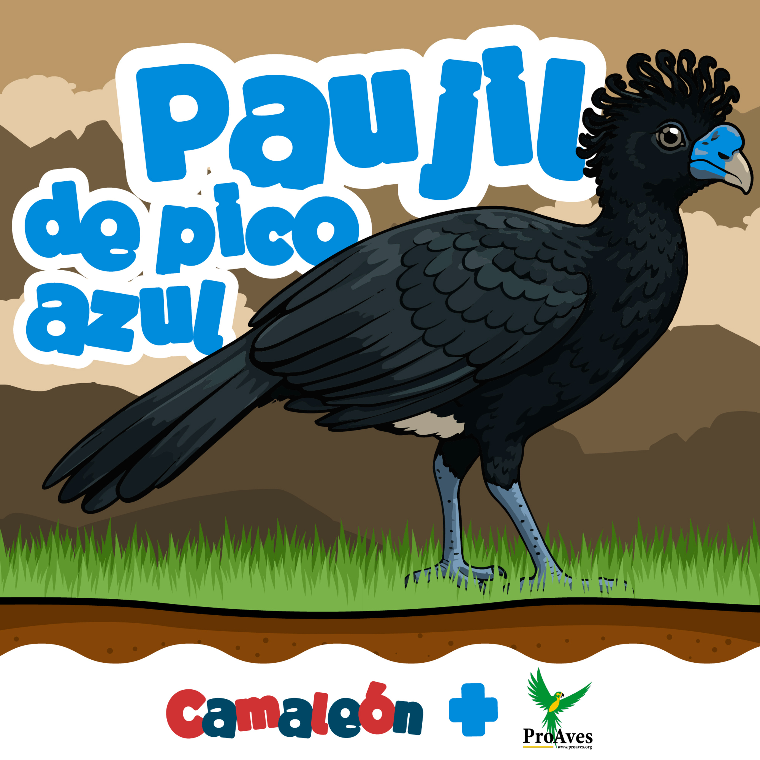 Paujil de pico azul: Belleza al borde de desaparecer