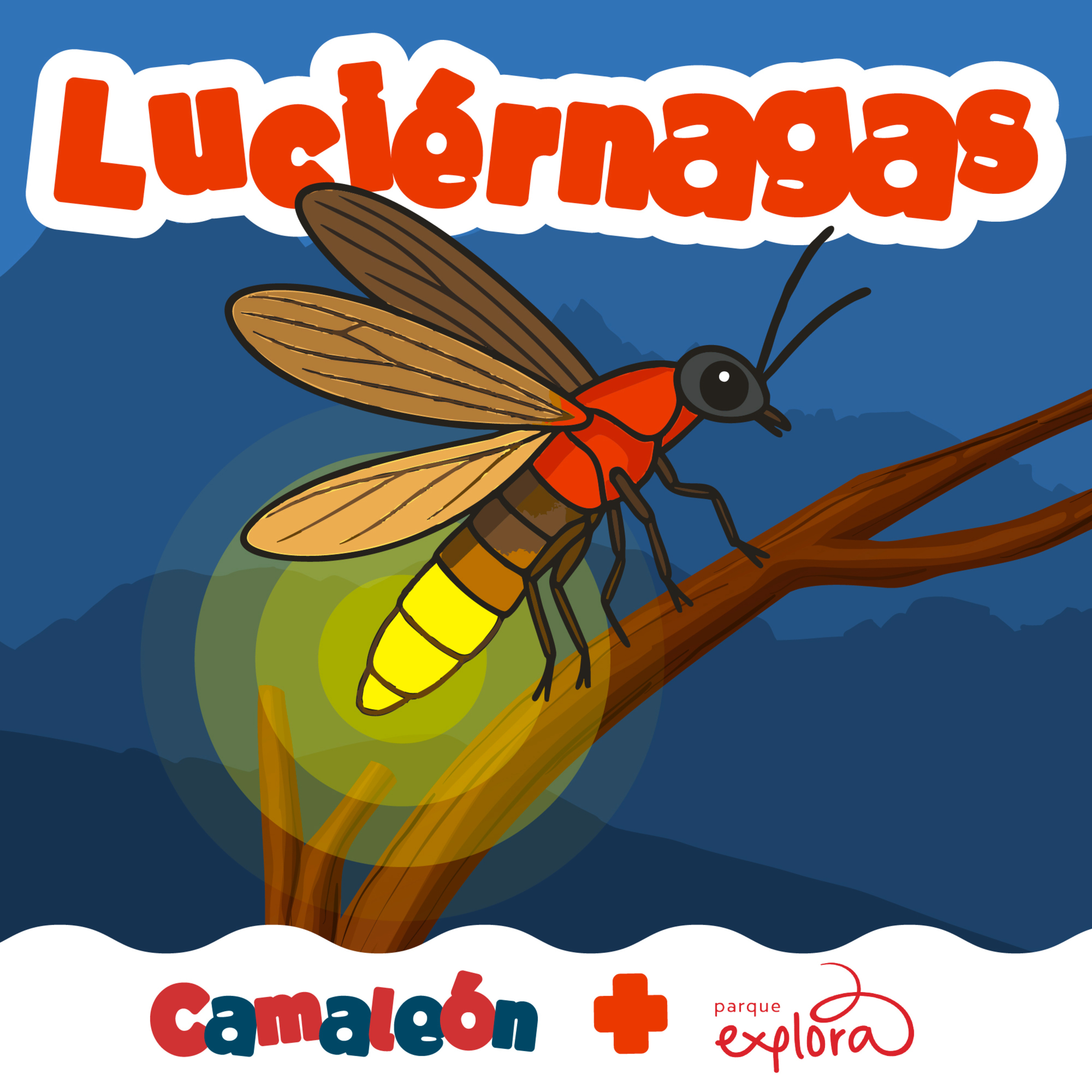 Luciérnagas: El lenguaje de la noche