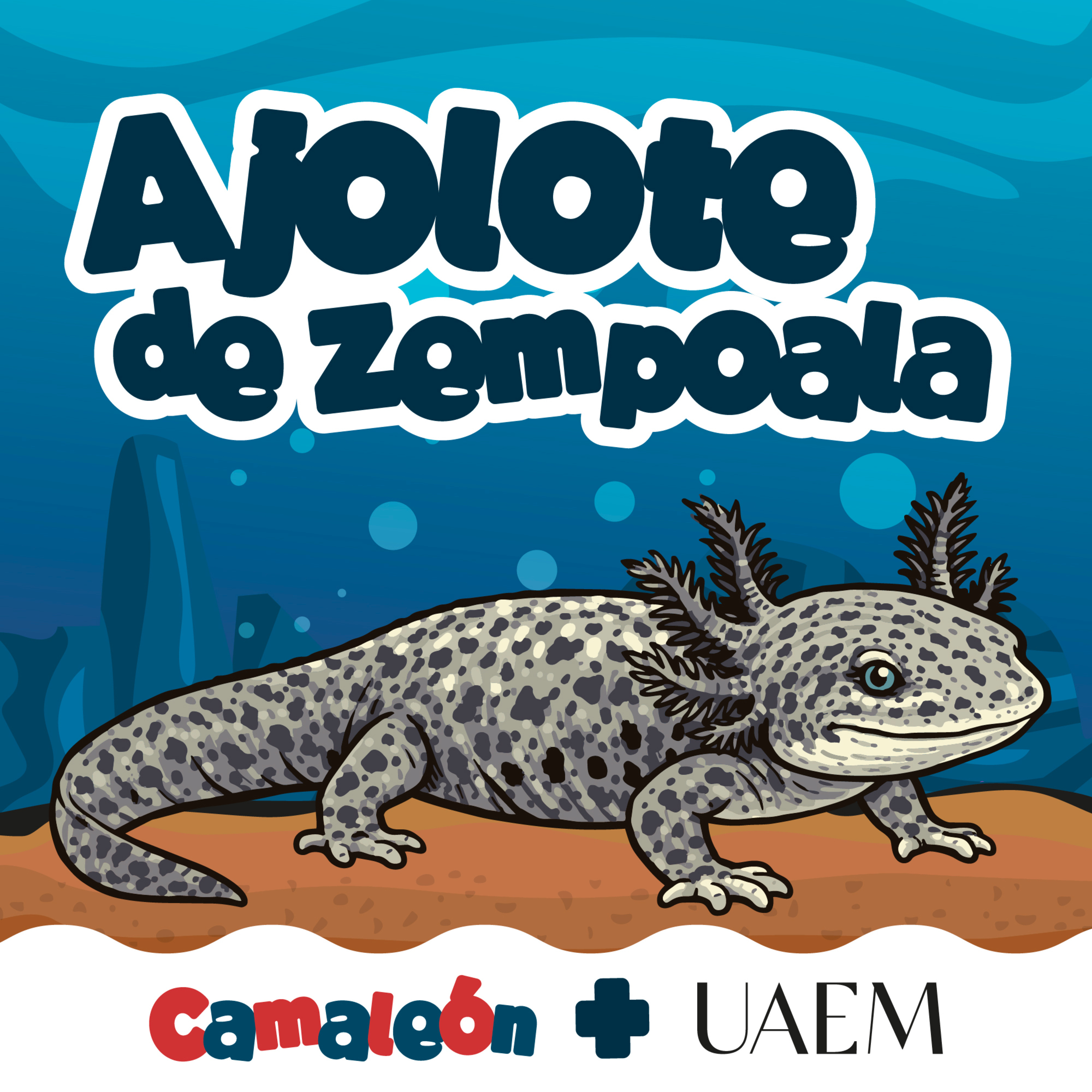 Ajolote de Zempoala: Vivir sin cambiar… y funcionar