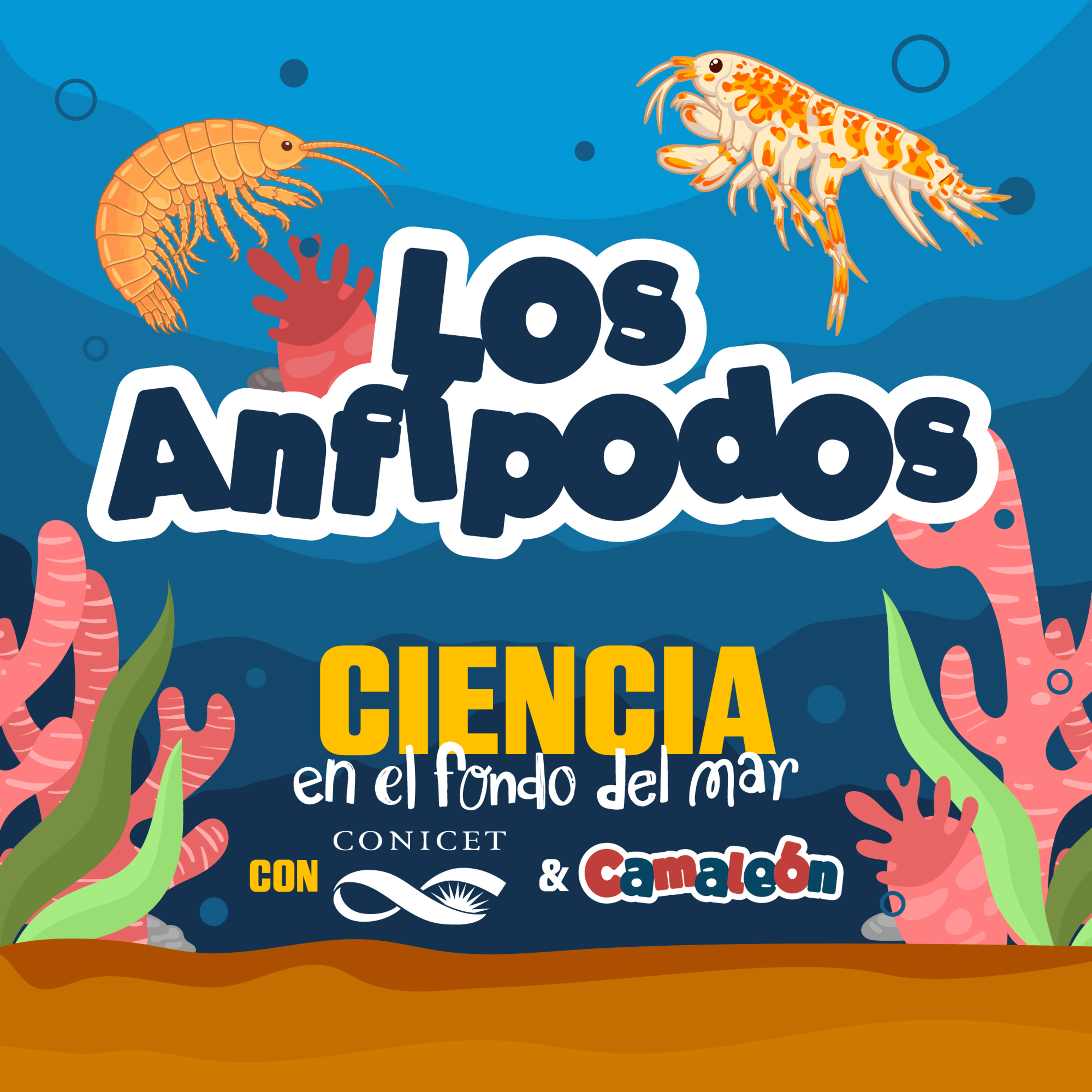 Anfípodos: Vida extrema en el fondo del mar