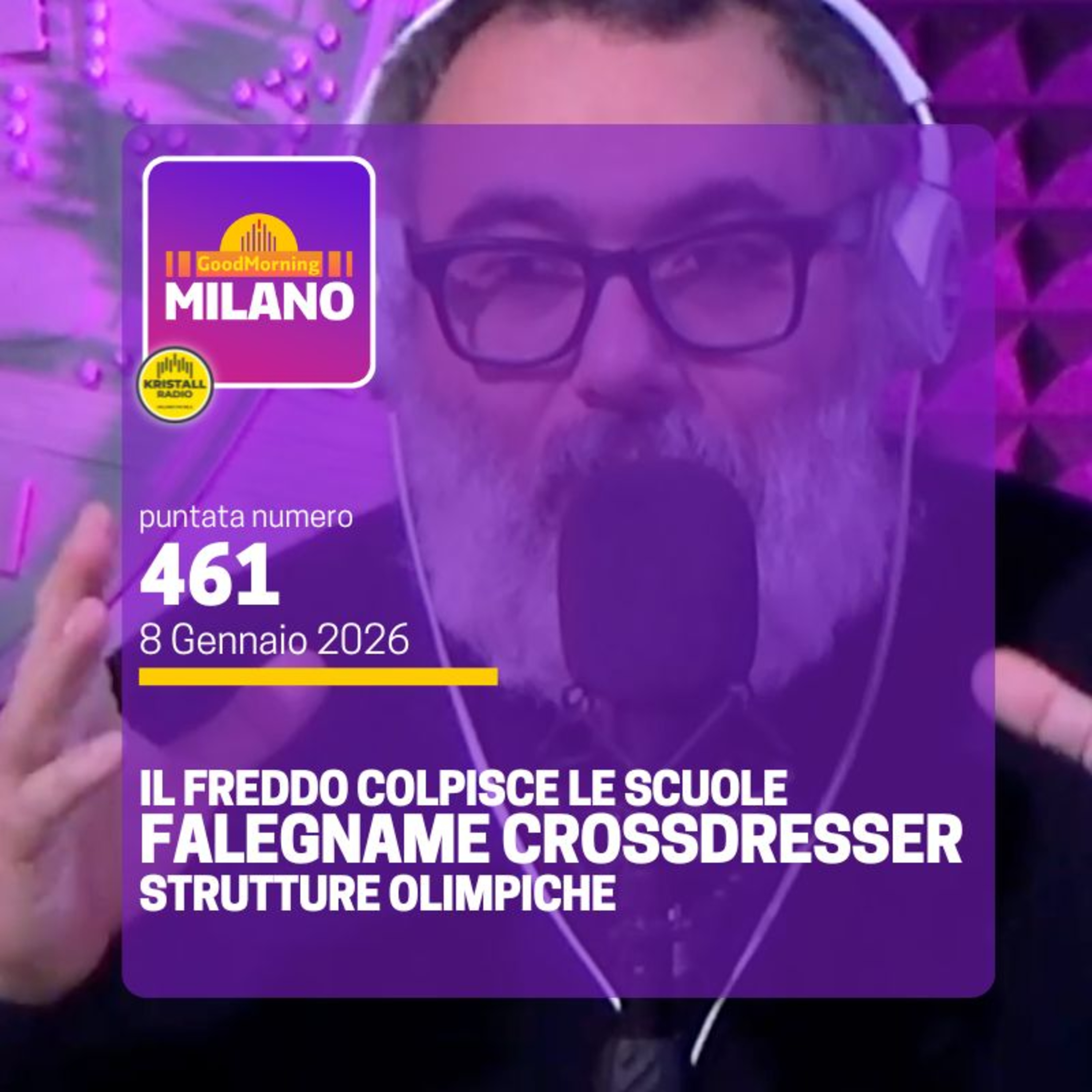 Ep.461, 8 gennaio. Il Freddo Colpisce le Scuole, Falegname Crossdresser e Strutture Olimpiche episode artwork