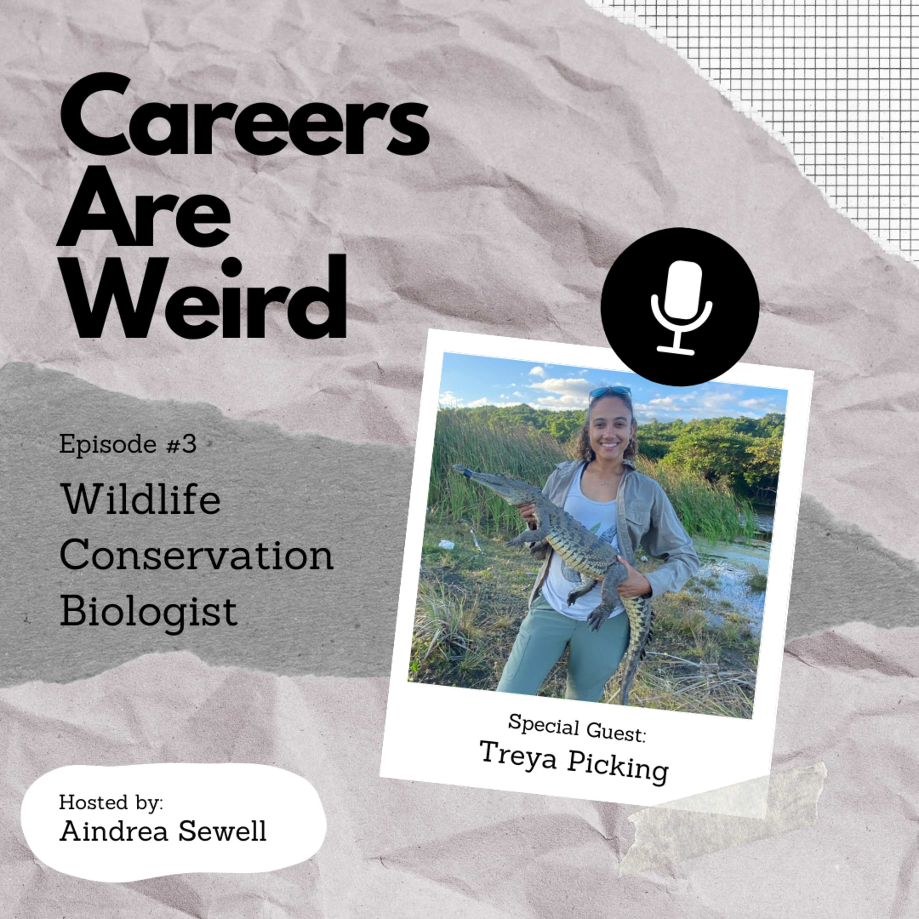 Careers Are Weird