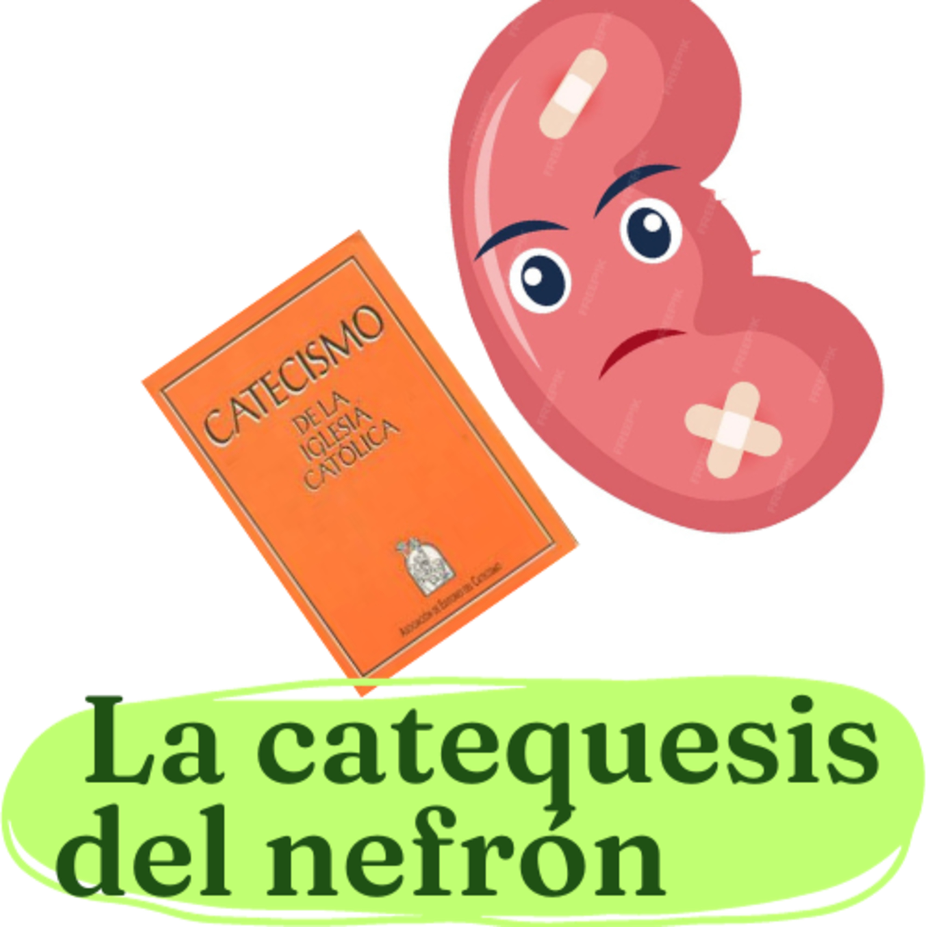 Portada de La catequesis del nefrón