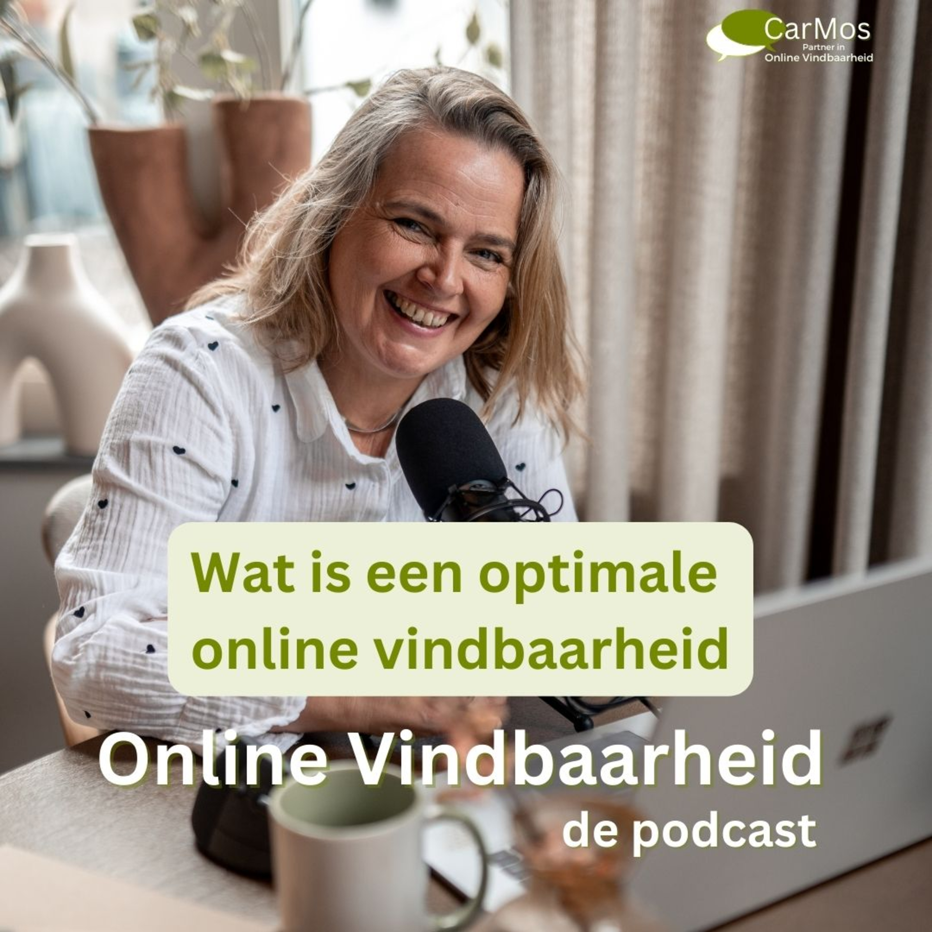  98 wat is een optimale online vindbaarheid episode artwork