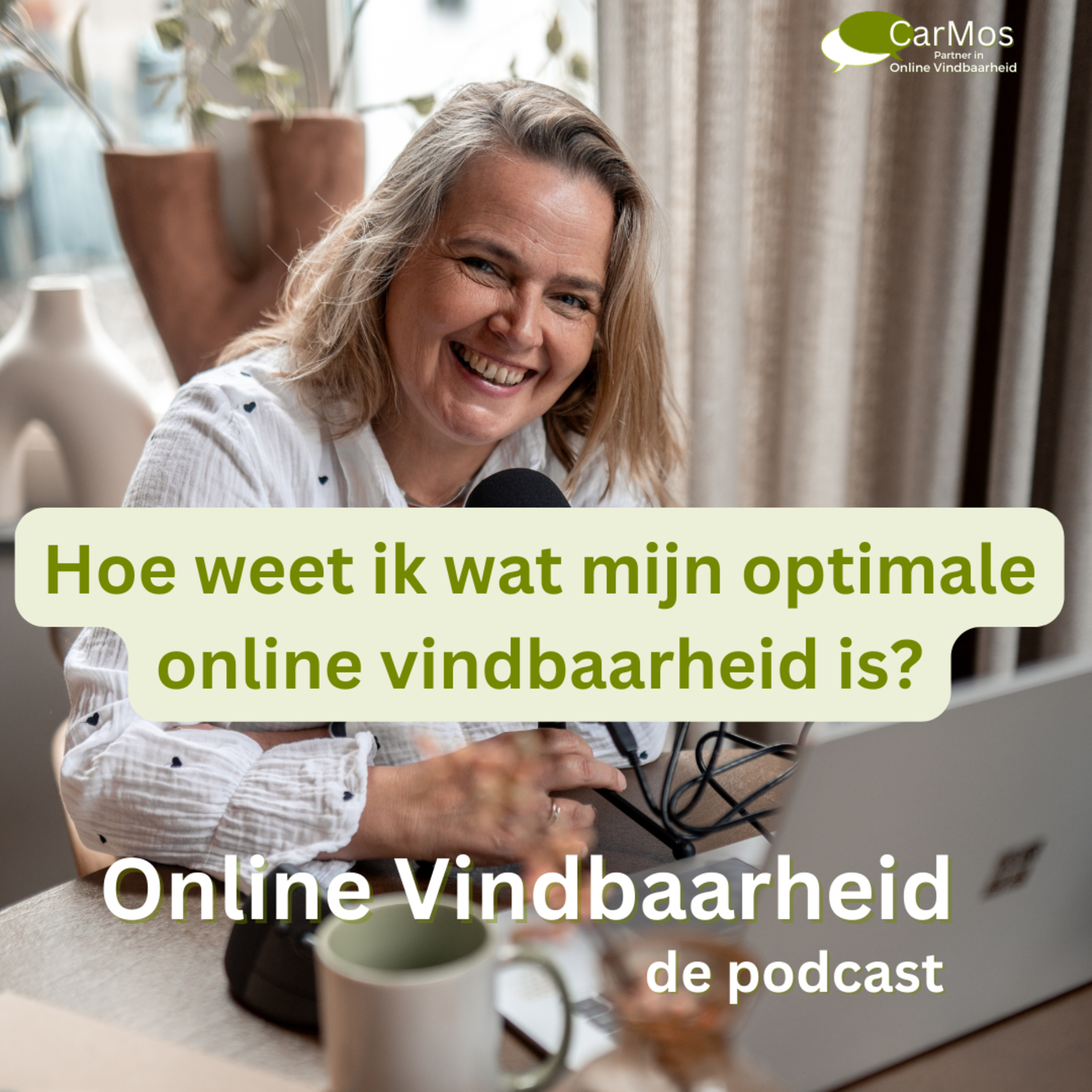 107 Hoe weet ik wat mijn optimale online vindbaarheid is episode artwork