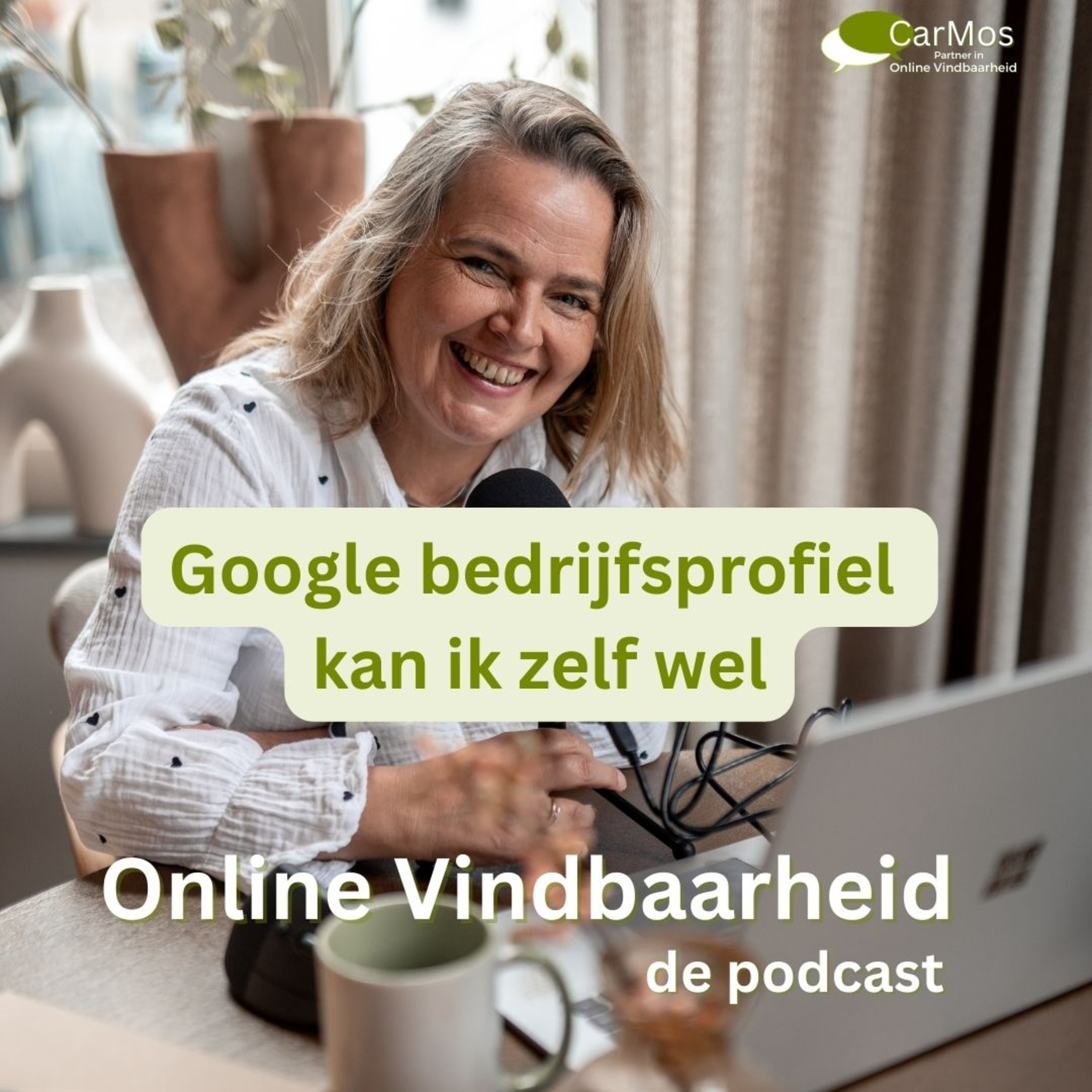 110 Google bedrijfsprofiel kan ik zelf wel episode artwork