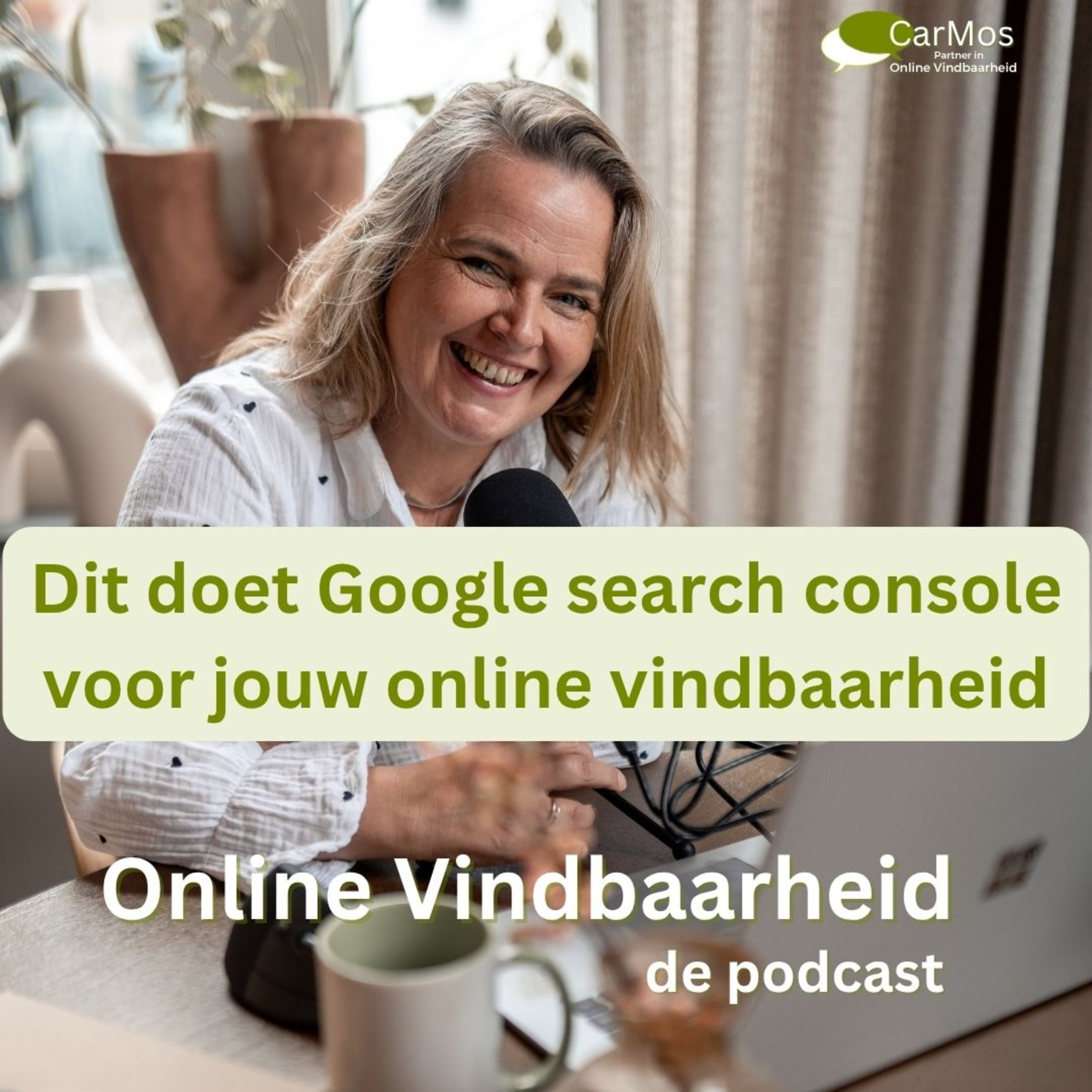 120 Dit doet Google search console voor jouw online vindbaarheid episode artwork