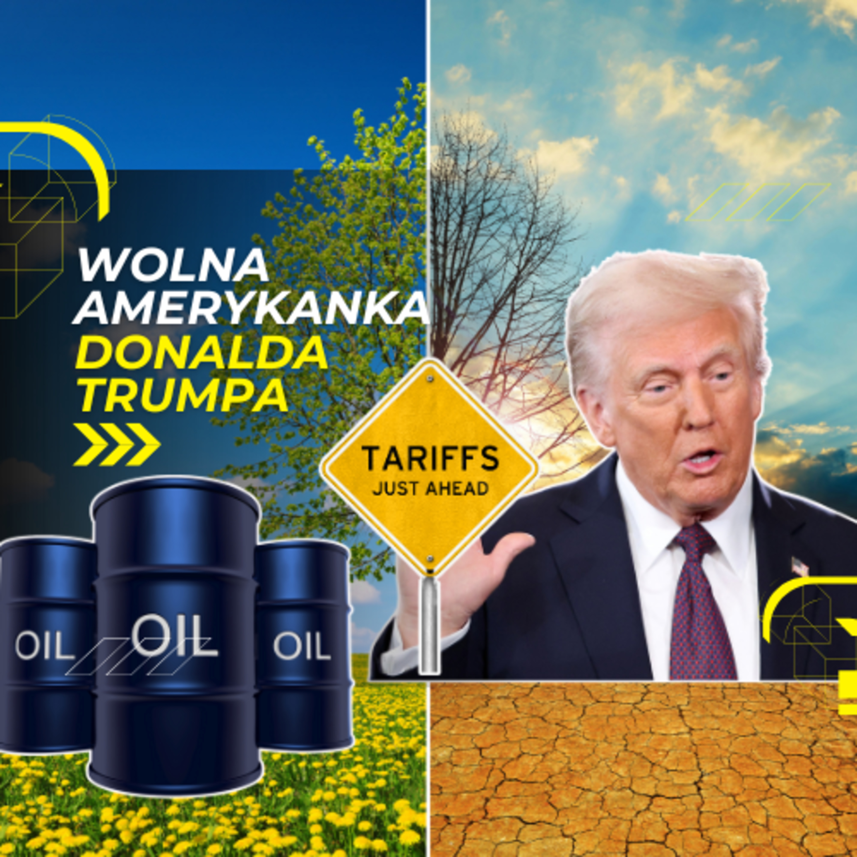 22.01 - Polityka energetyczna i klimatyczna Donalda Trumpa episode artwork
