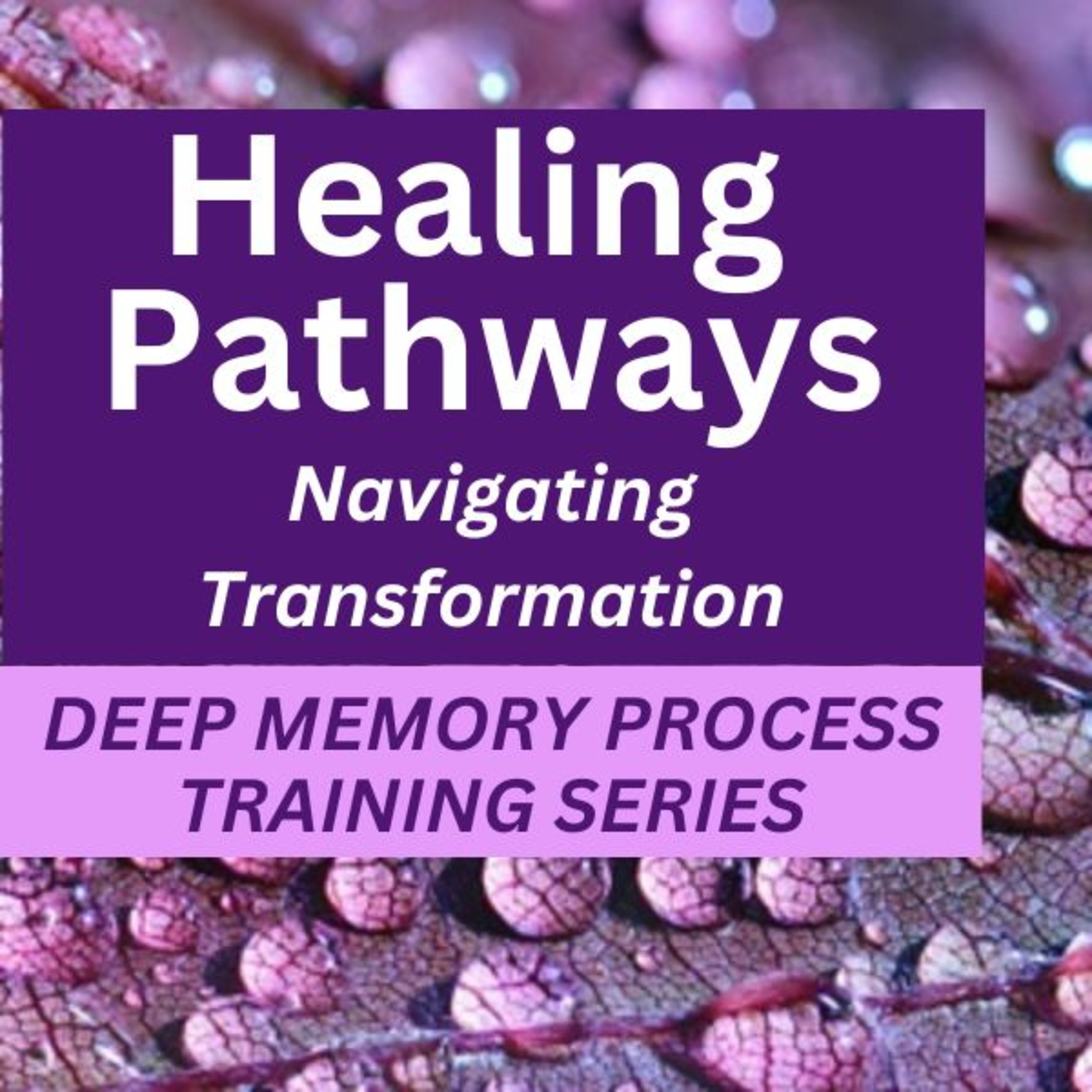 Module 4 – Deep Memory Process Training – Working with Complex Residues of Trauma and Abuse : Dissociation and the Body