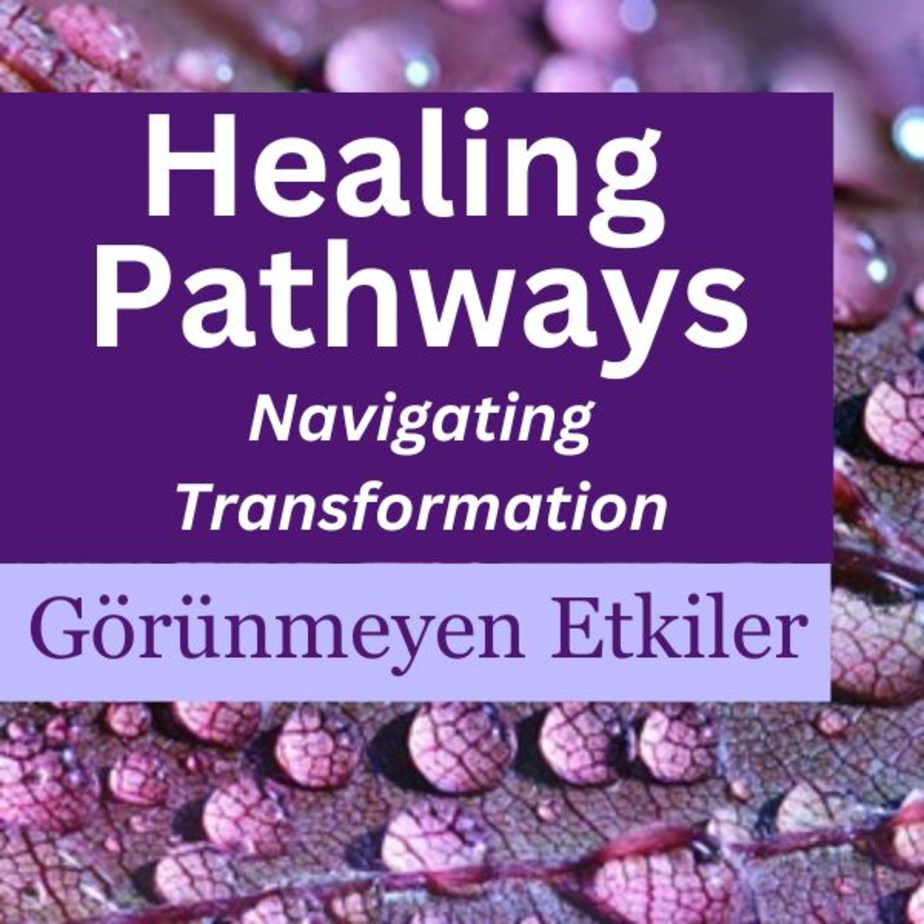 Görünmeyen Etkiler Bölüm 1