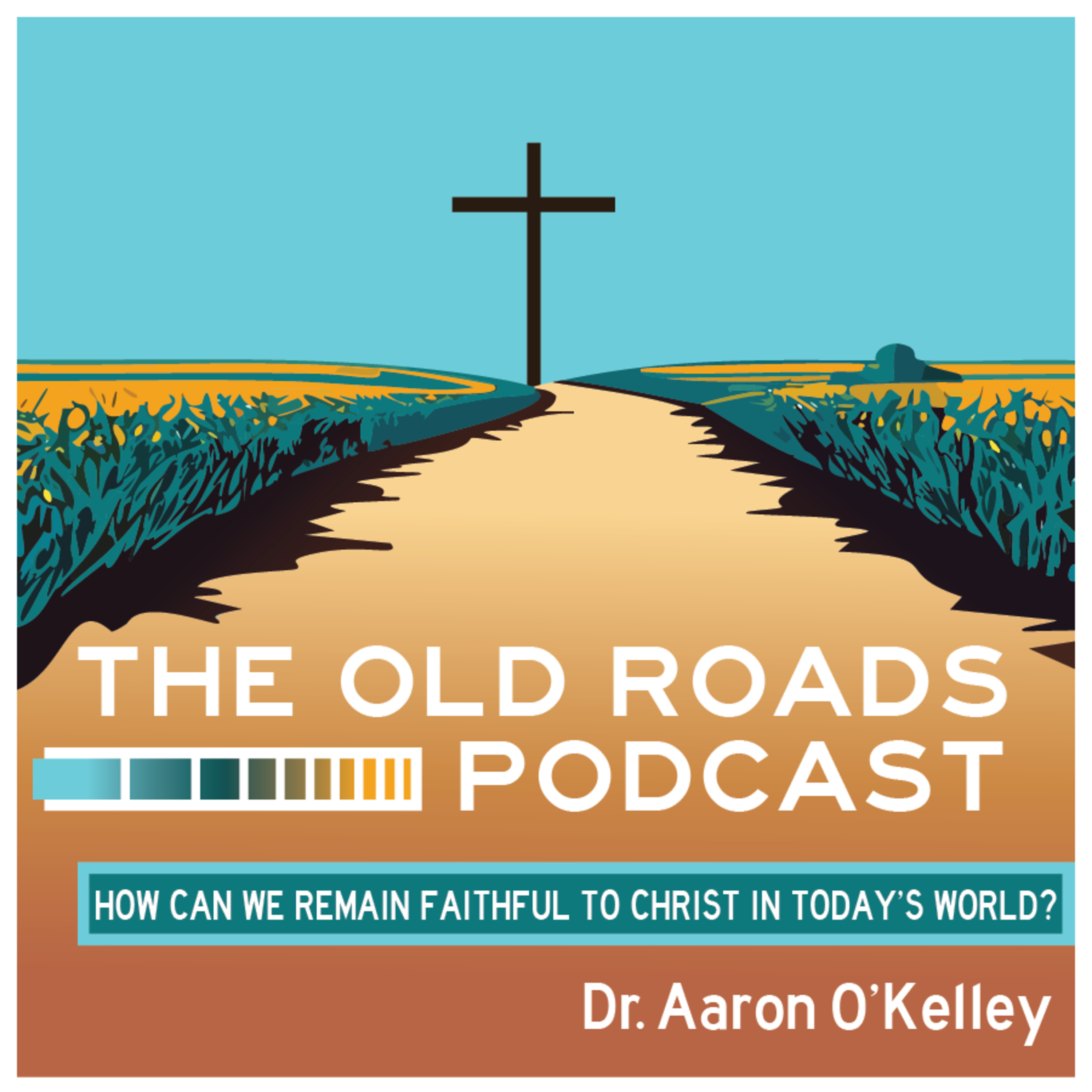 What Is the Way Forward for the Southern Baptist Convention? episode artwork