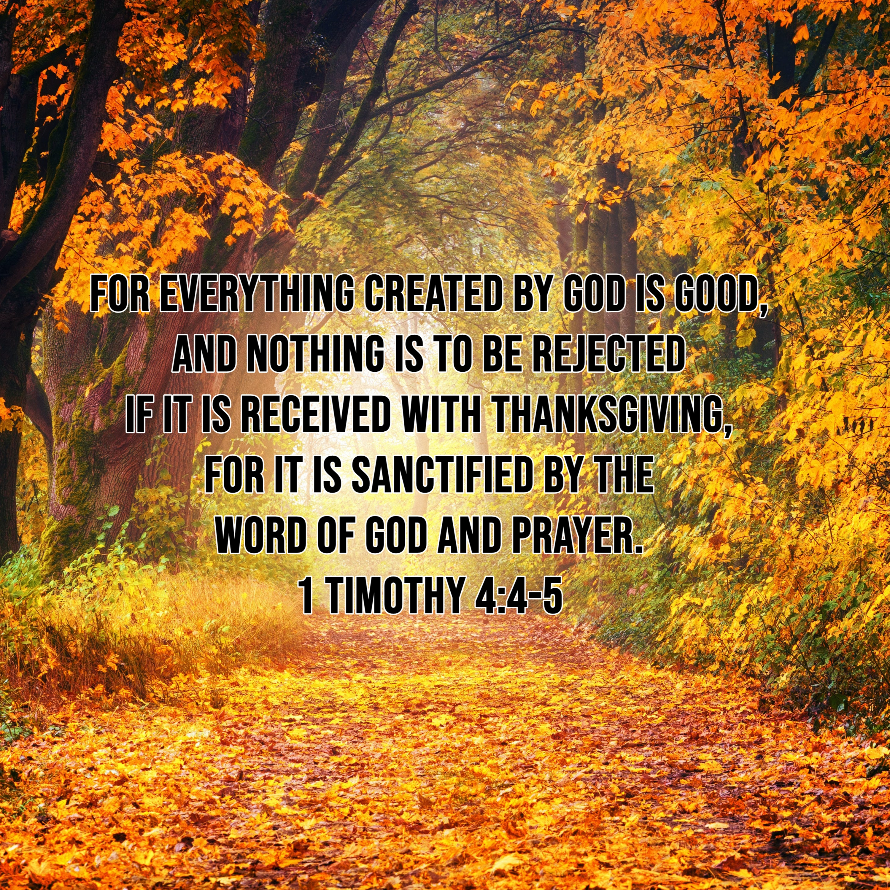 2023.12.03 Thankfulness For His Glory episode artwork