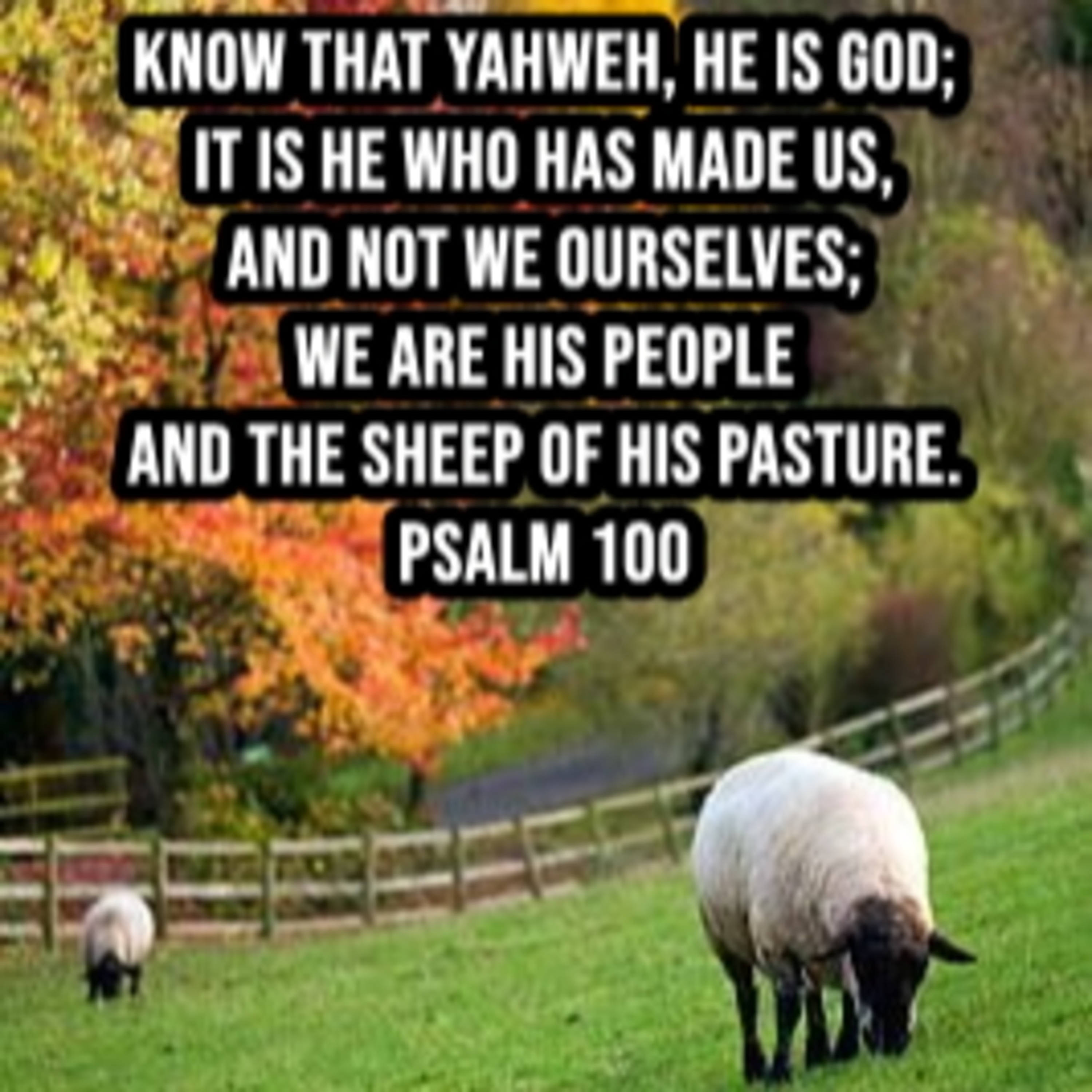 2023.11.19 A Psalm of Thanksgiving episode artwork