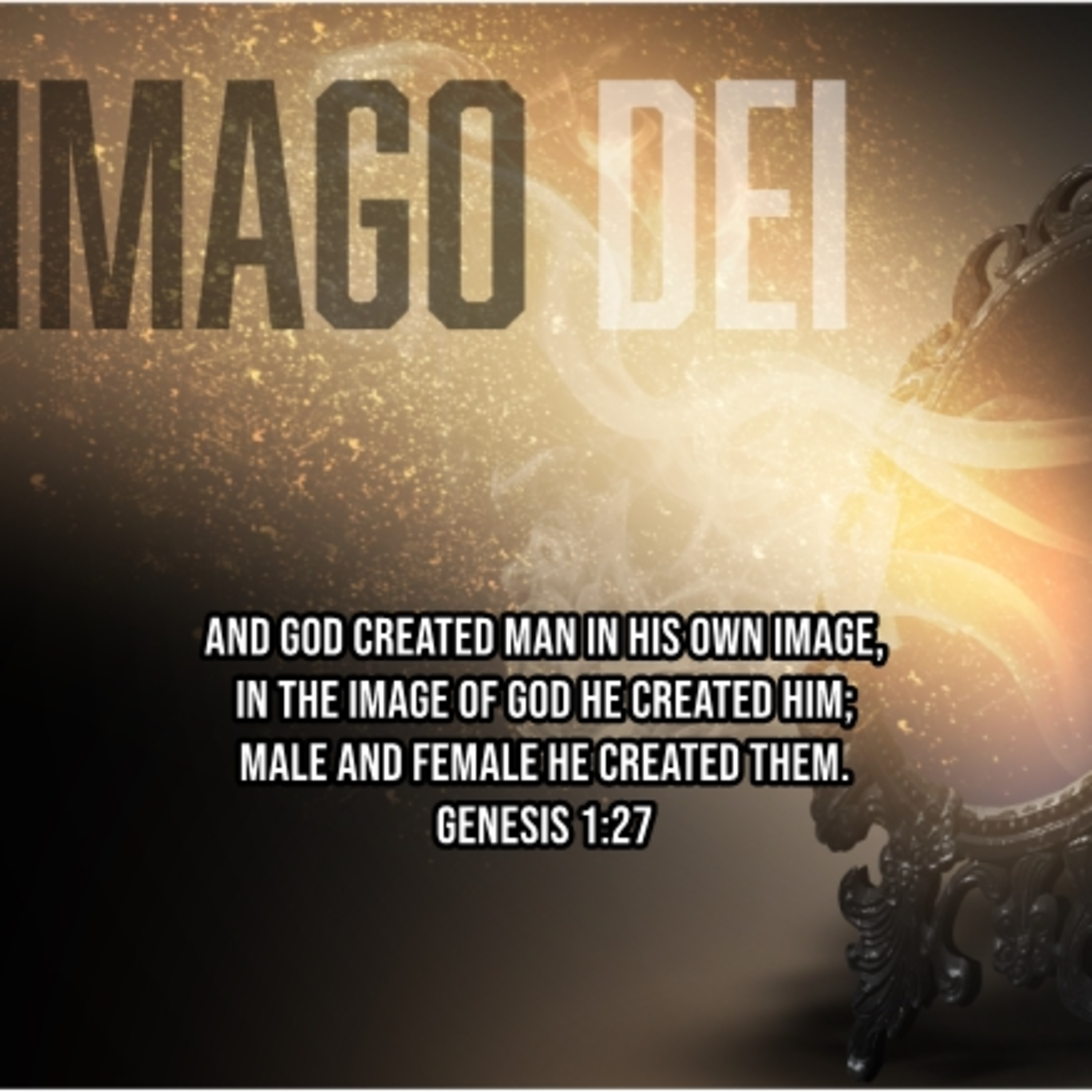 2024.08.04 Imago Dei: Fearfully and Wonderfully Made episode artwork