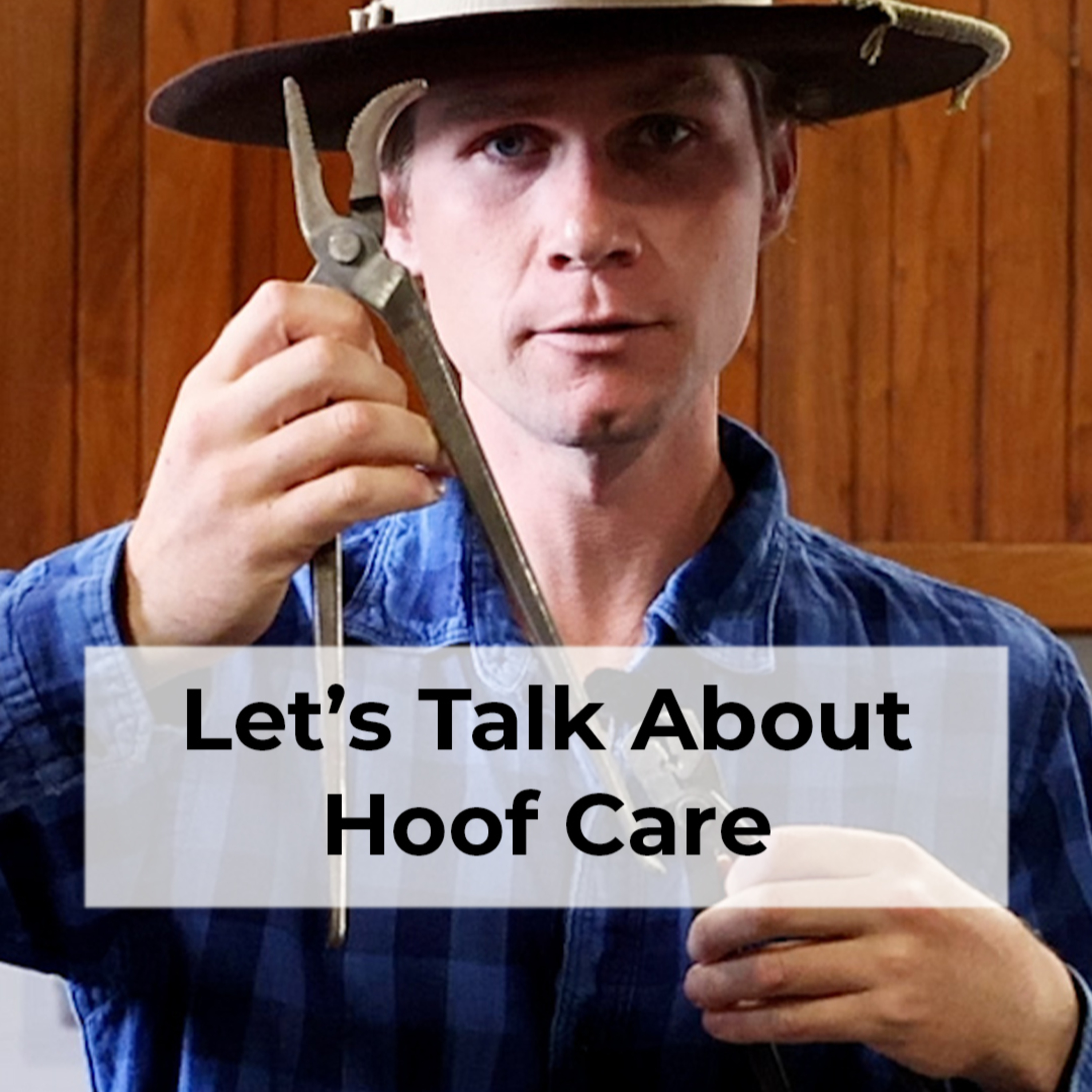 The Importance of Hoof Care with Karl Cook episode artwork
