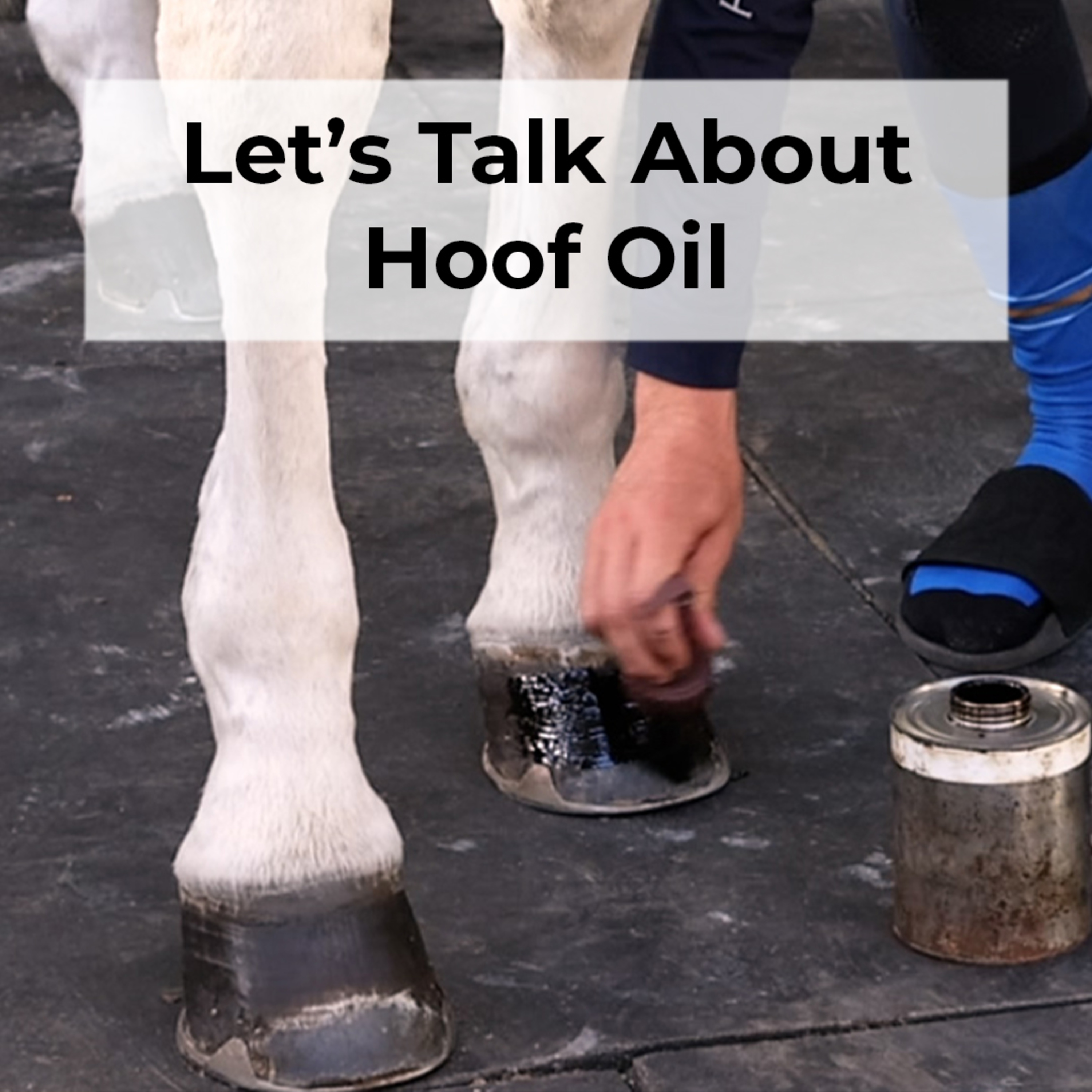 Karl Cook On Hoof Oil episode artwork