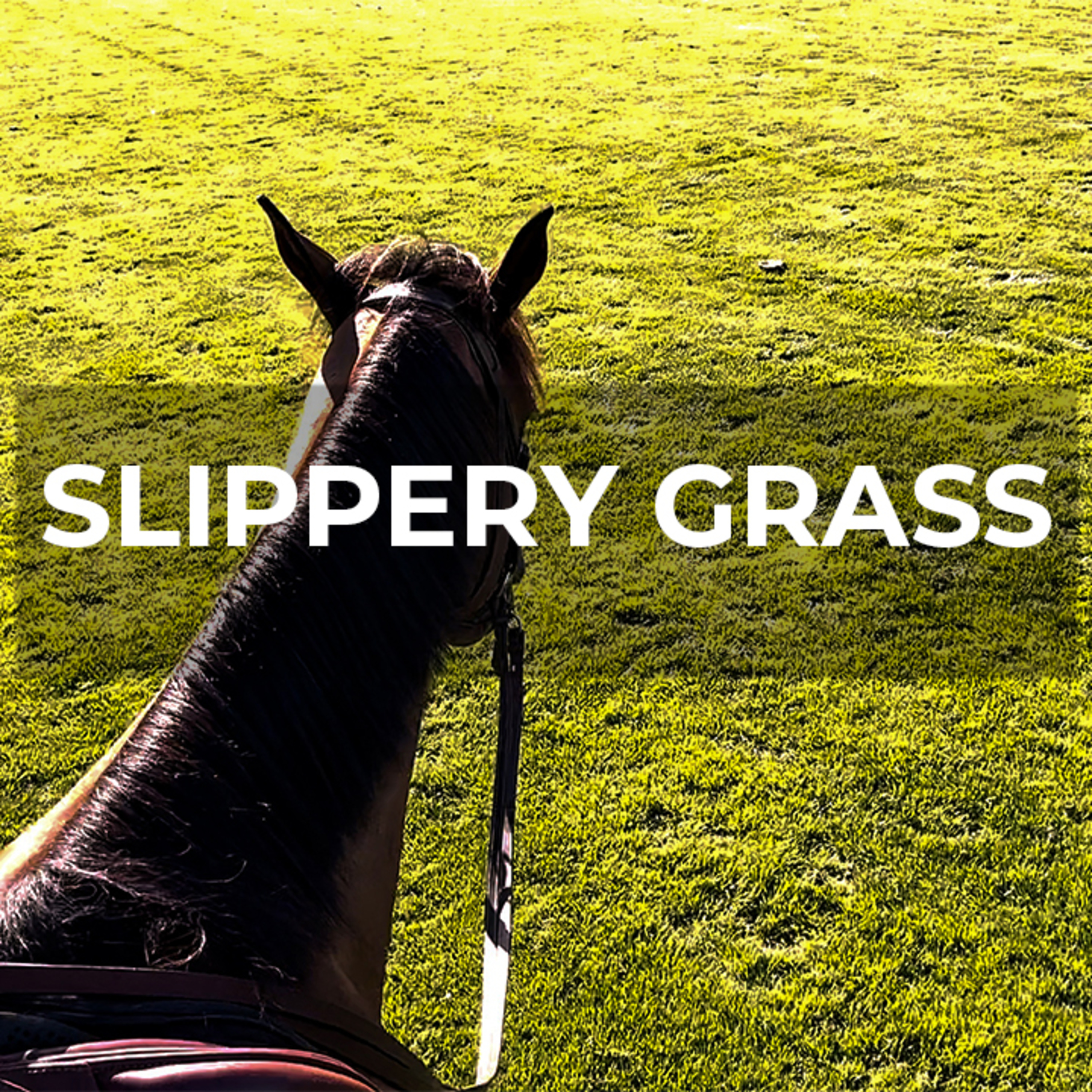 The Truth About 'Ideal' Footing: Why Slippery Grass Can Be Beneficial for Your Horse episode artwork