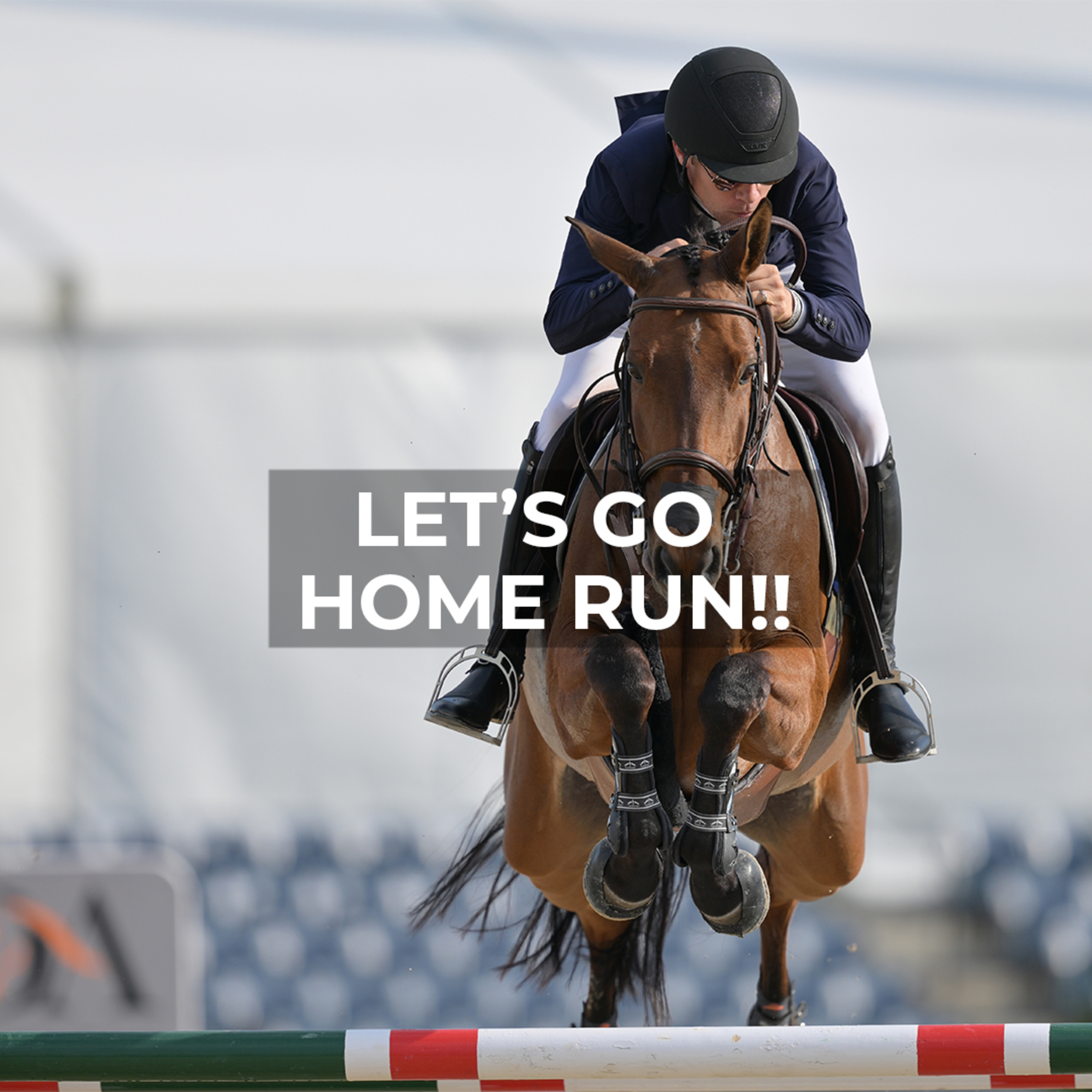 Home Run in Florida! Rapid Improvements & Clear Rounds episode artwork