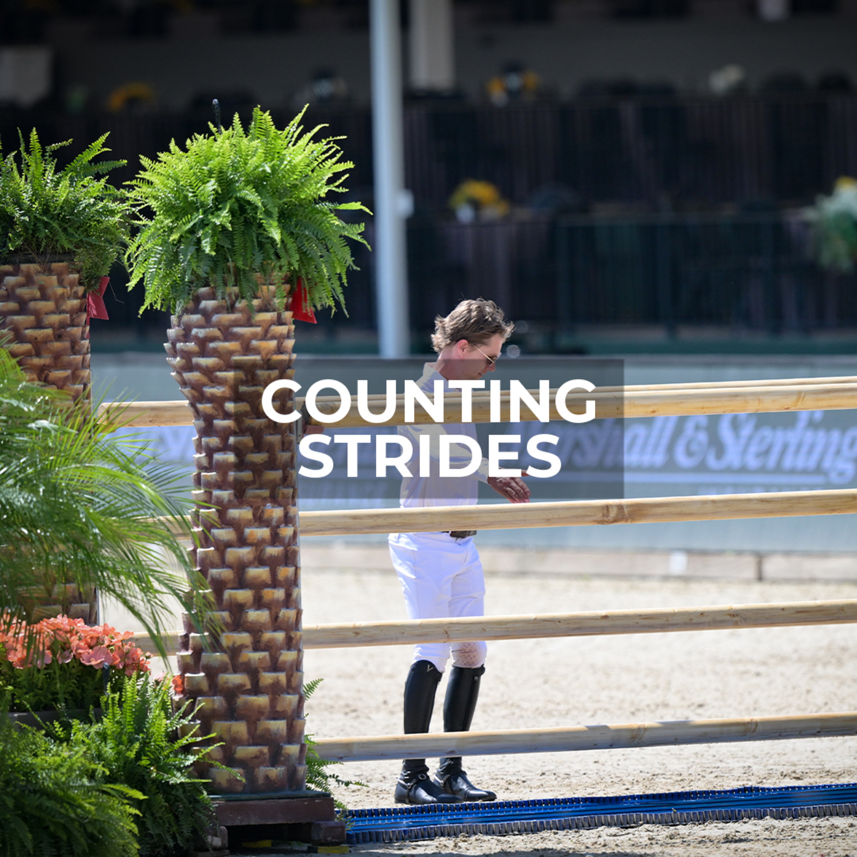 Forward Five or Holding Six? Master Your Ride By Counting Strides episode artwork