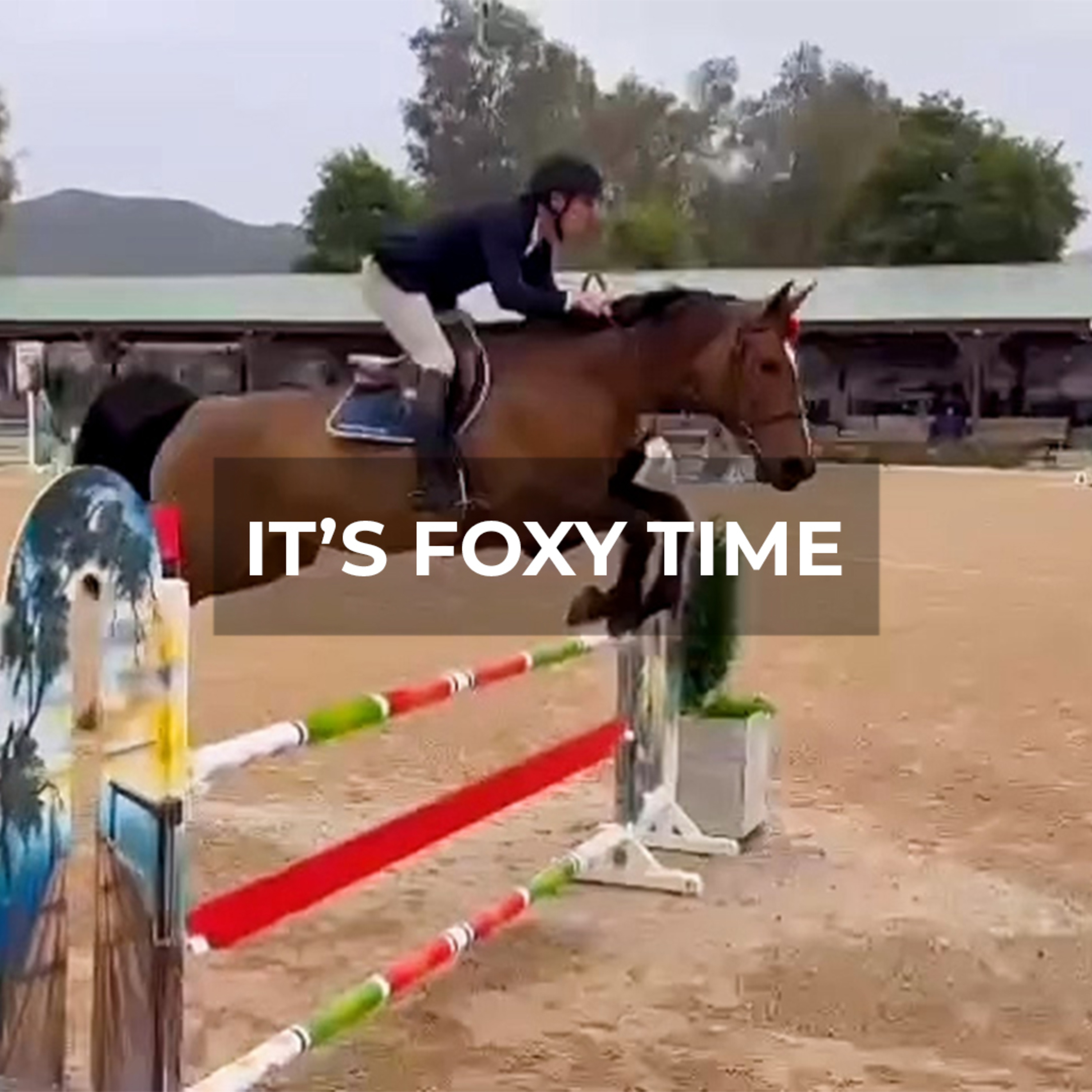 Can Foxy Handle Her First Show Jumping Course With Karl? episode artwork