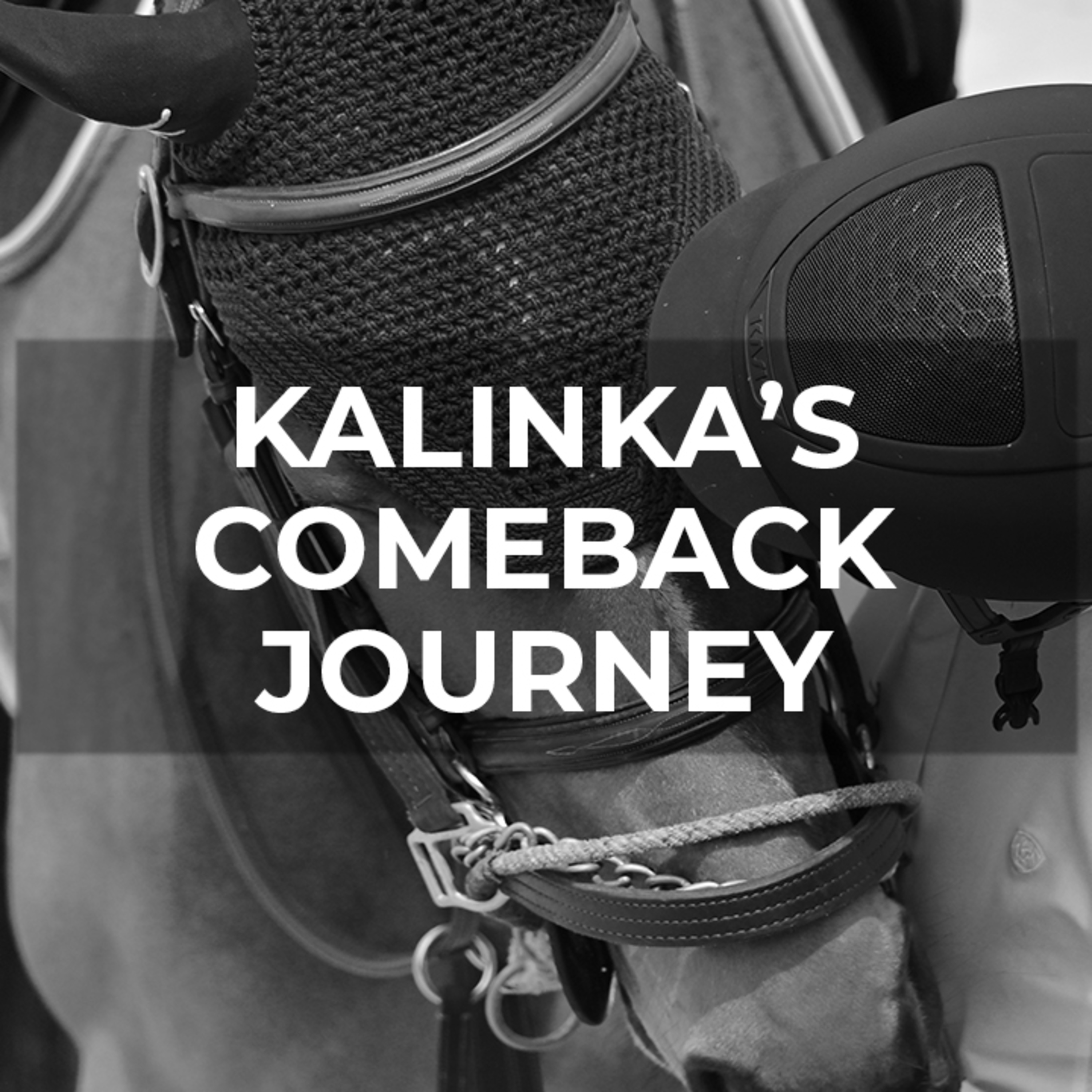 Kalinka's Big Comeback Adventure! episode artwork