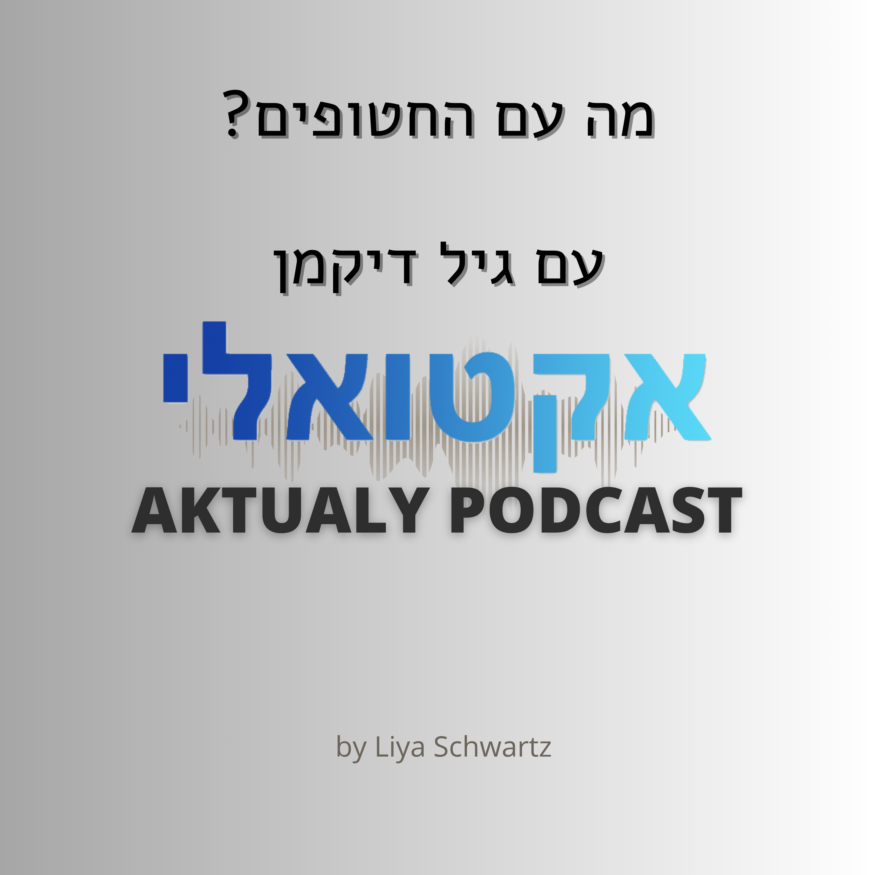 מה עם החטופים? - עם גיל דיקמן episode artwork