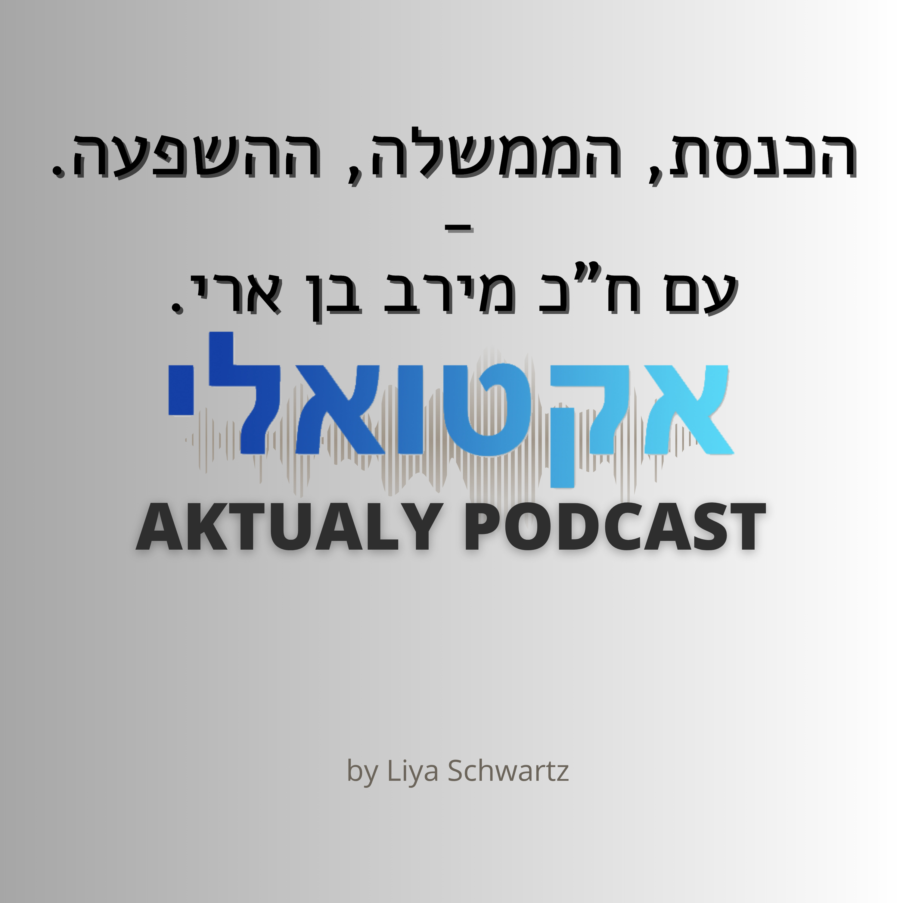 הכנסת, הממשלה, ההשפעה - עם ח"כ מירב בן ארי episode artwork