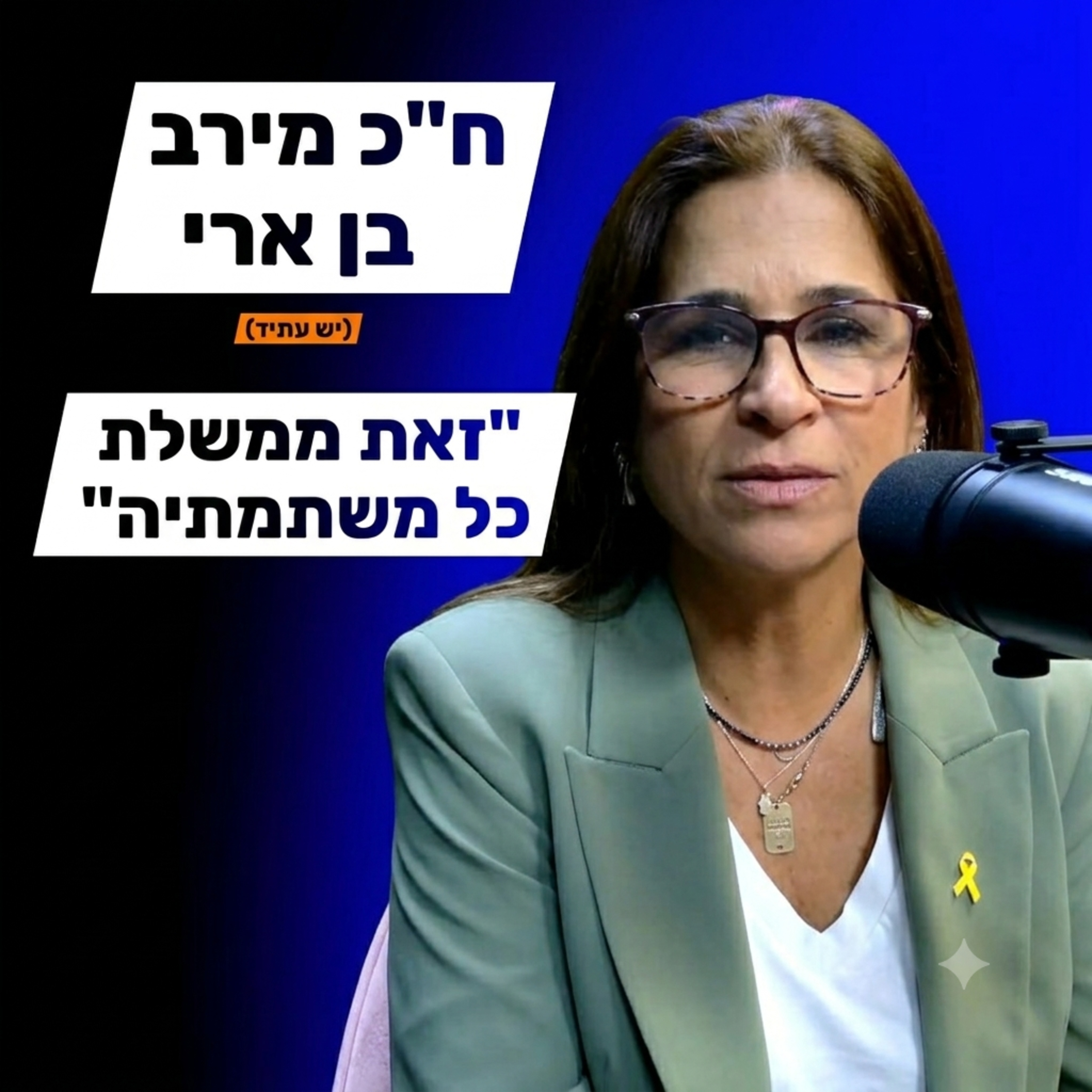 ח"כ מירב בן ארי - הכנסת, הממשלה, ההשפעה episode artwork