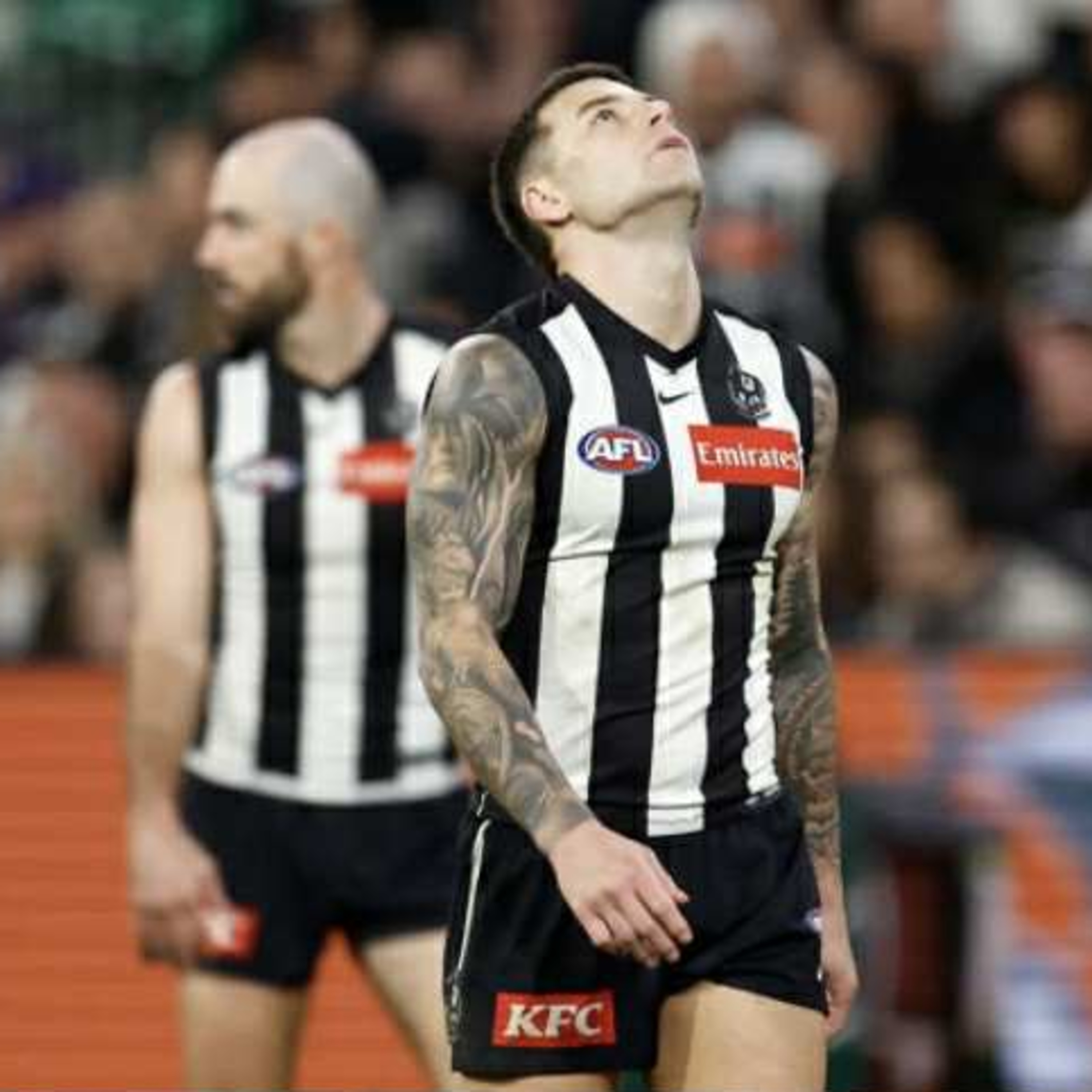 Into the Woods (Collingwood FC Podcast)