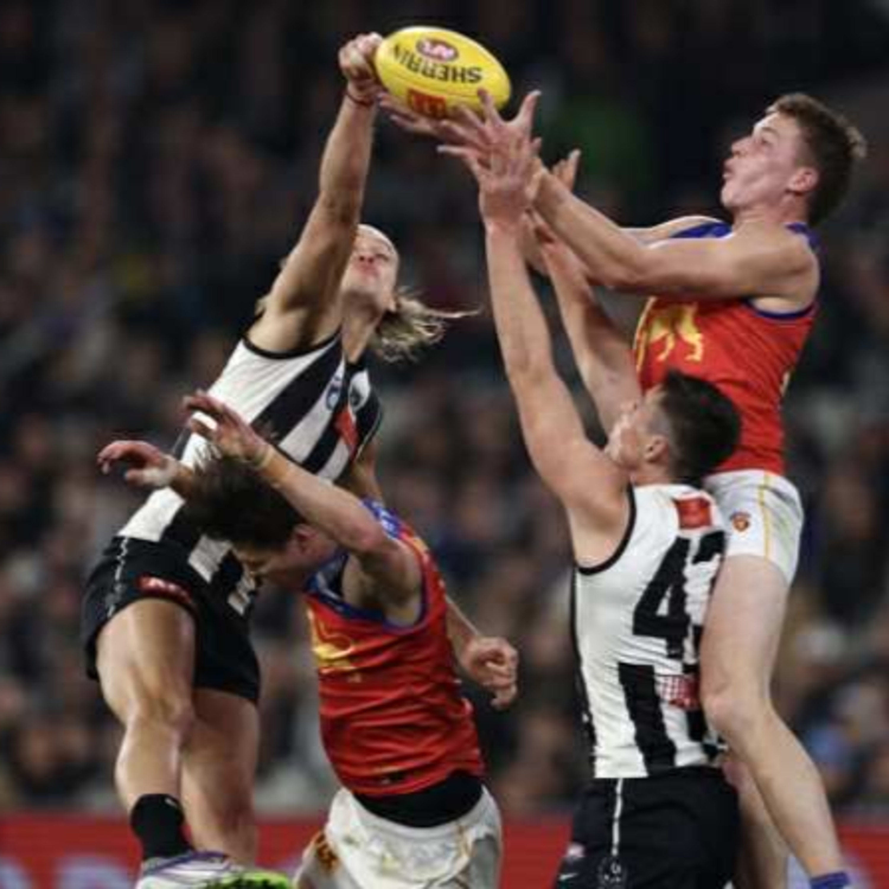 Into the Woods (Collingwood FC Podcast)