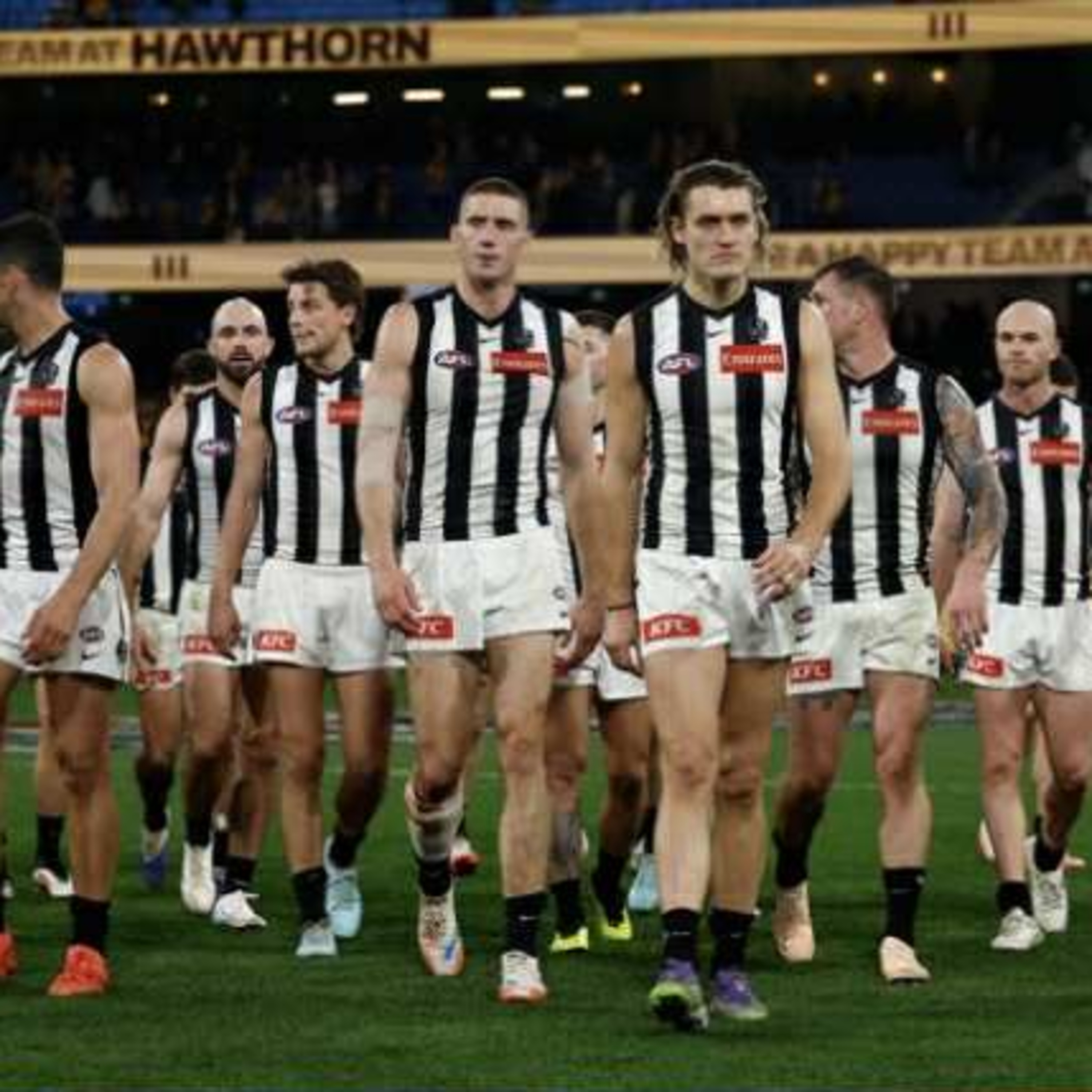 Into the Woods (Collingwood FC Podcast)