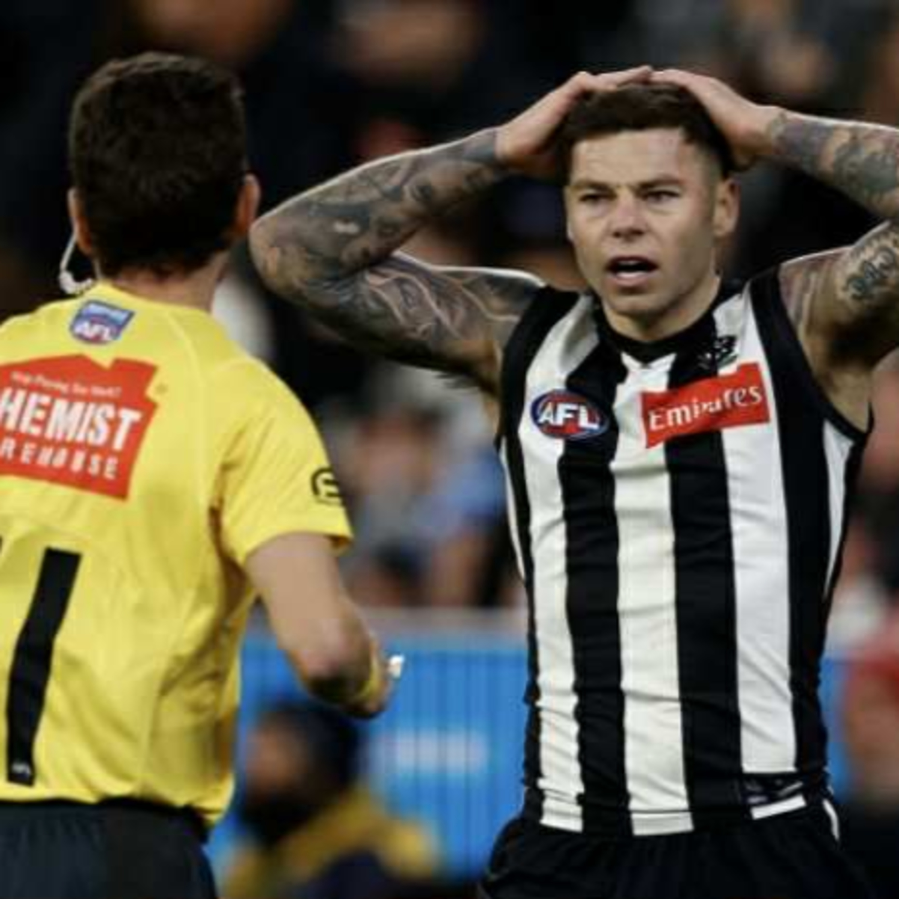 Into the Woods (Collingwood FC Podcast)