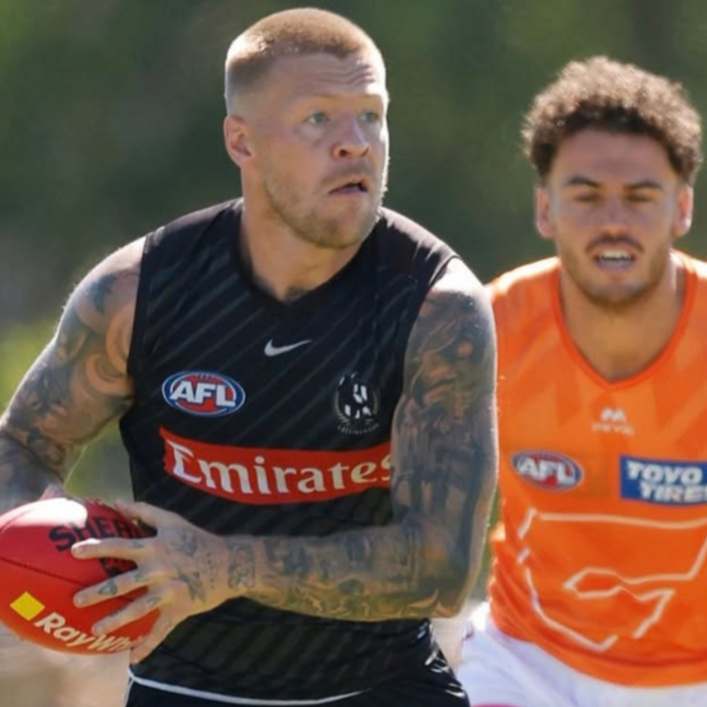 Into the Woods (Collingwood FC Podcast)