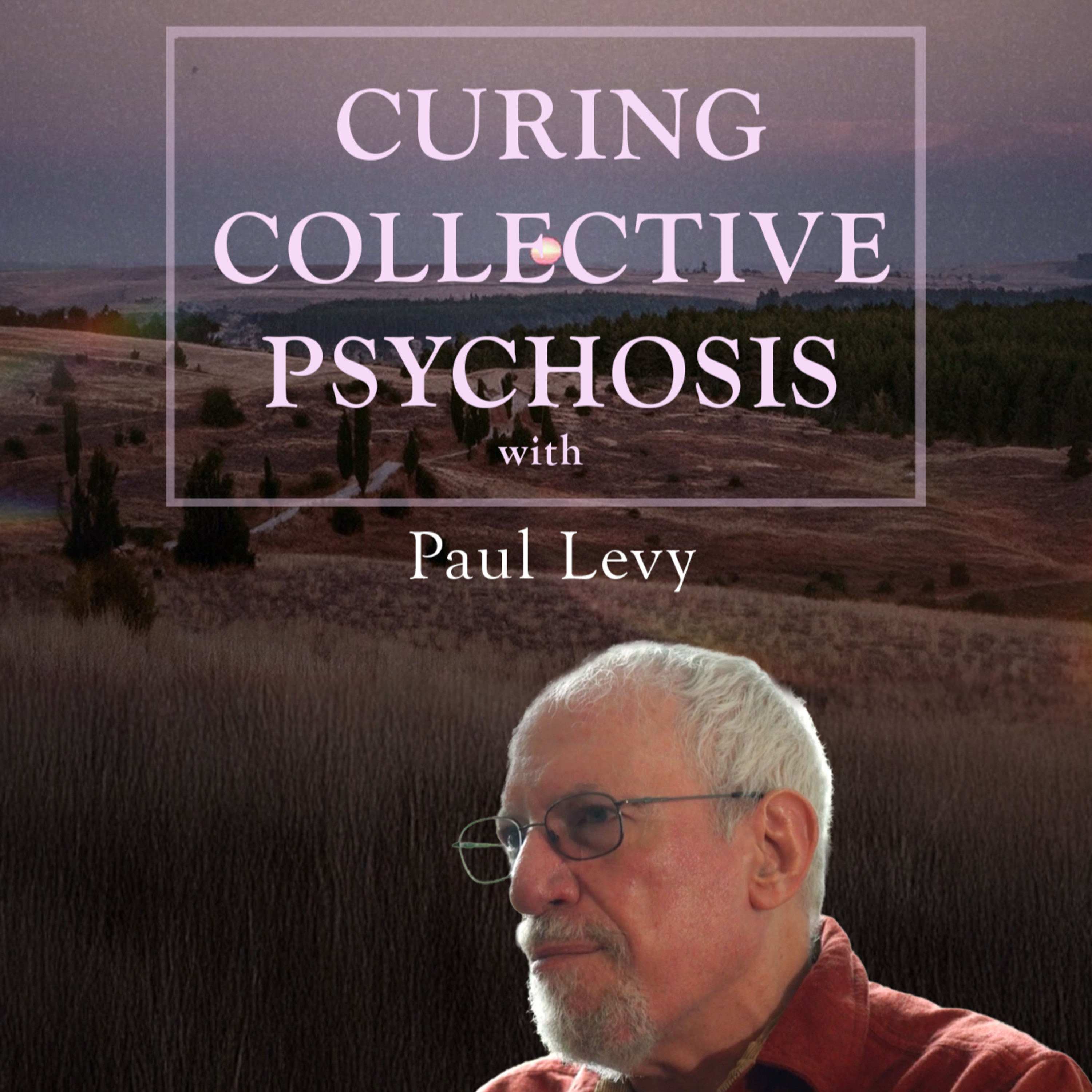 ☀ Wetiko Mind Virus, Quantum Dreams & Awakening Through Creative Alchemy | Paul Levy ☀