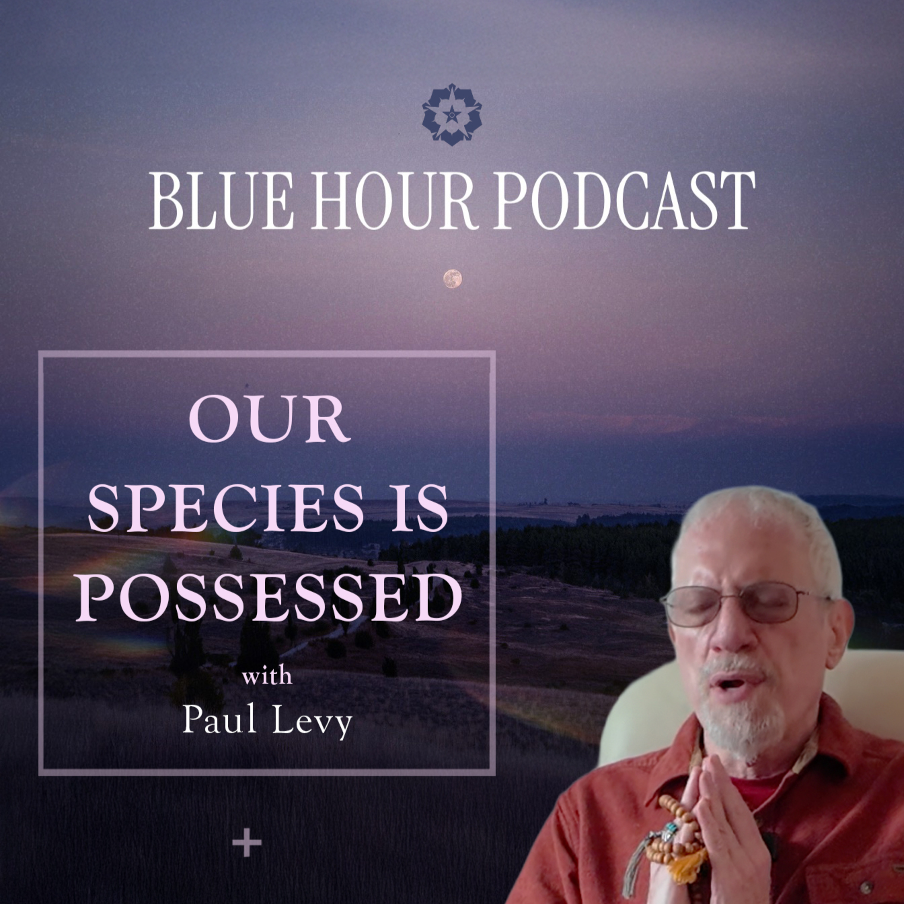 ☽ Jungian Exorcism, Medecine Bouddha Lapis Lazuli Practice and Sacred Texts & Mold | Paul Levy ☾